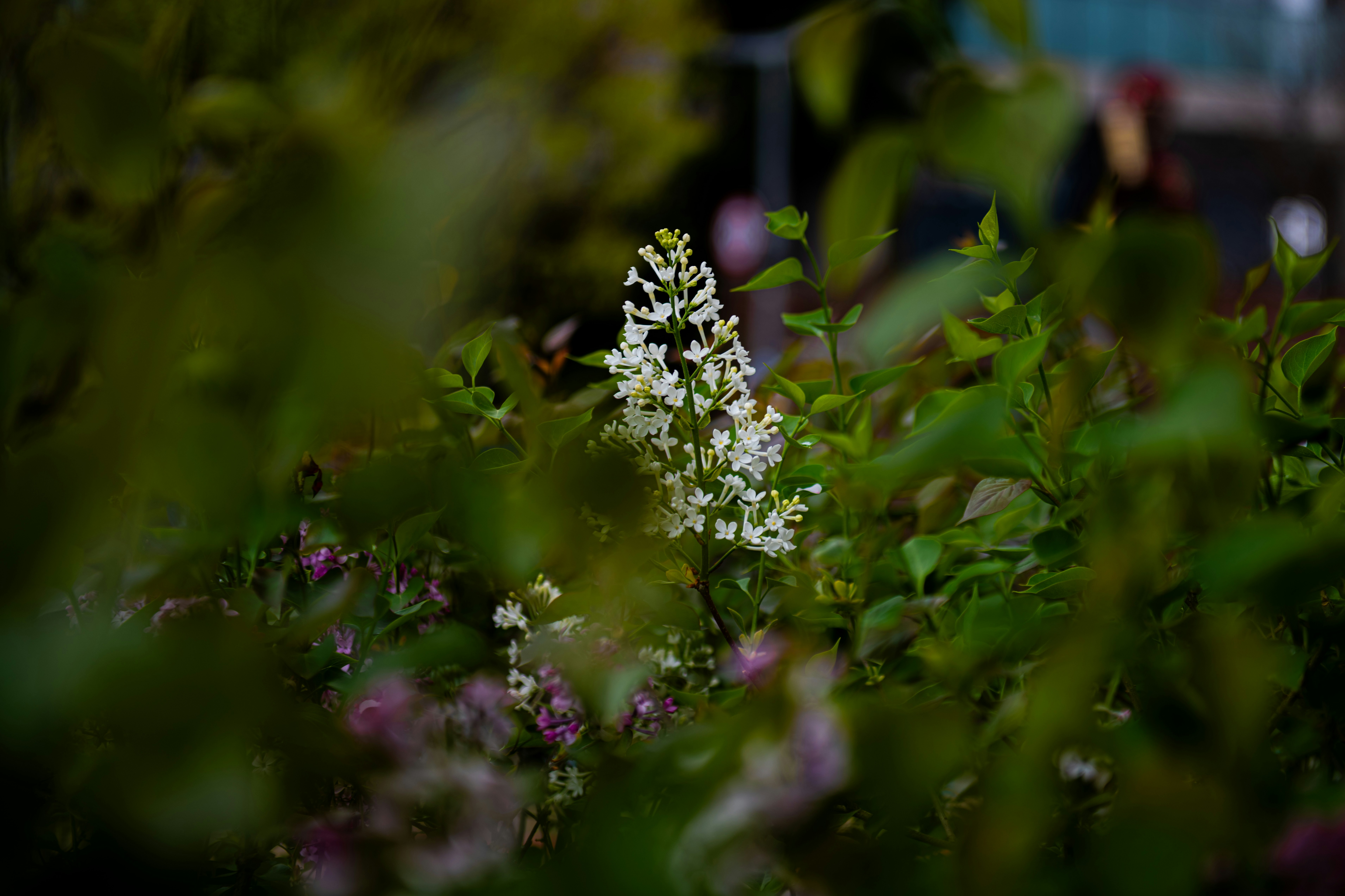 Photo by jiwon_kang