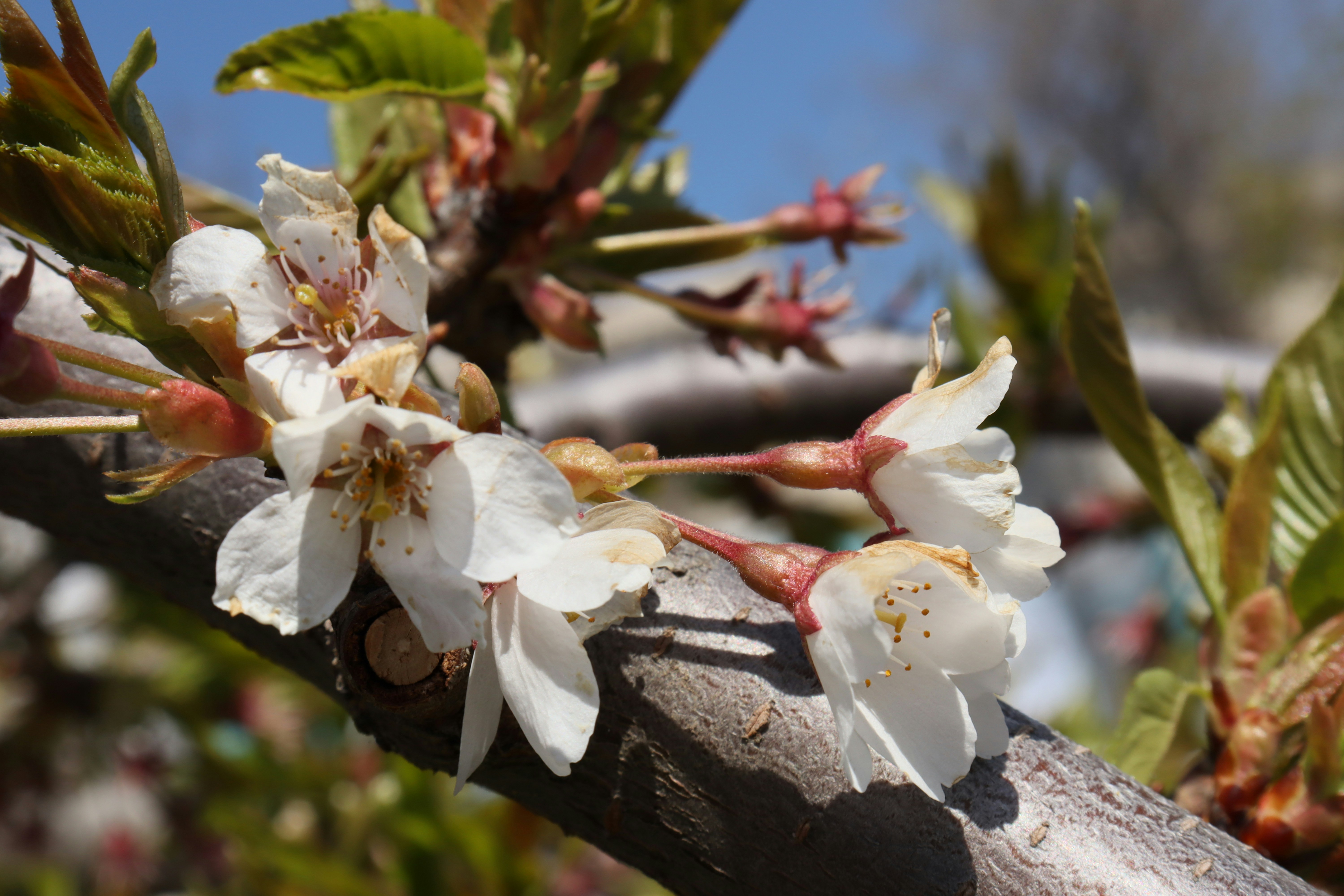 Photo by bored_mongoose