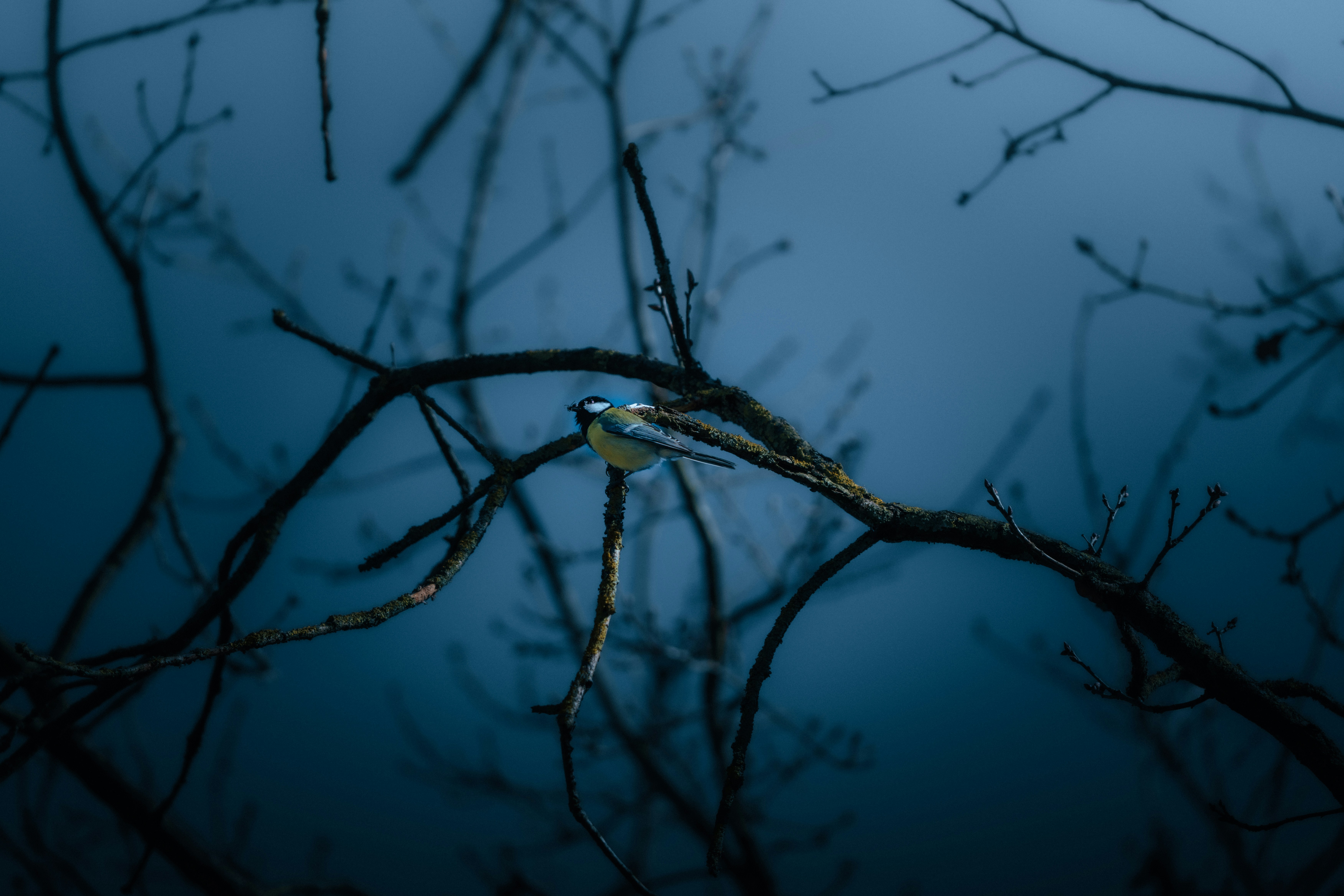 Photo by jonah_loeffler