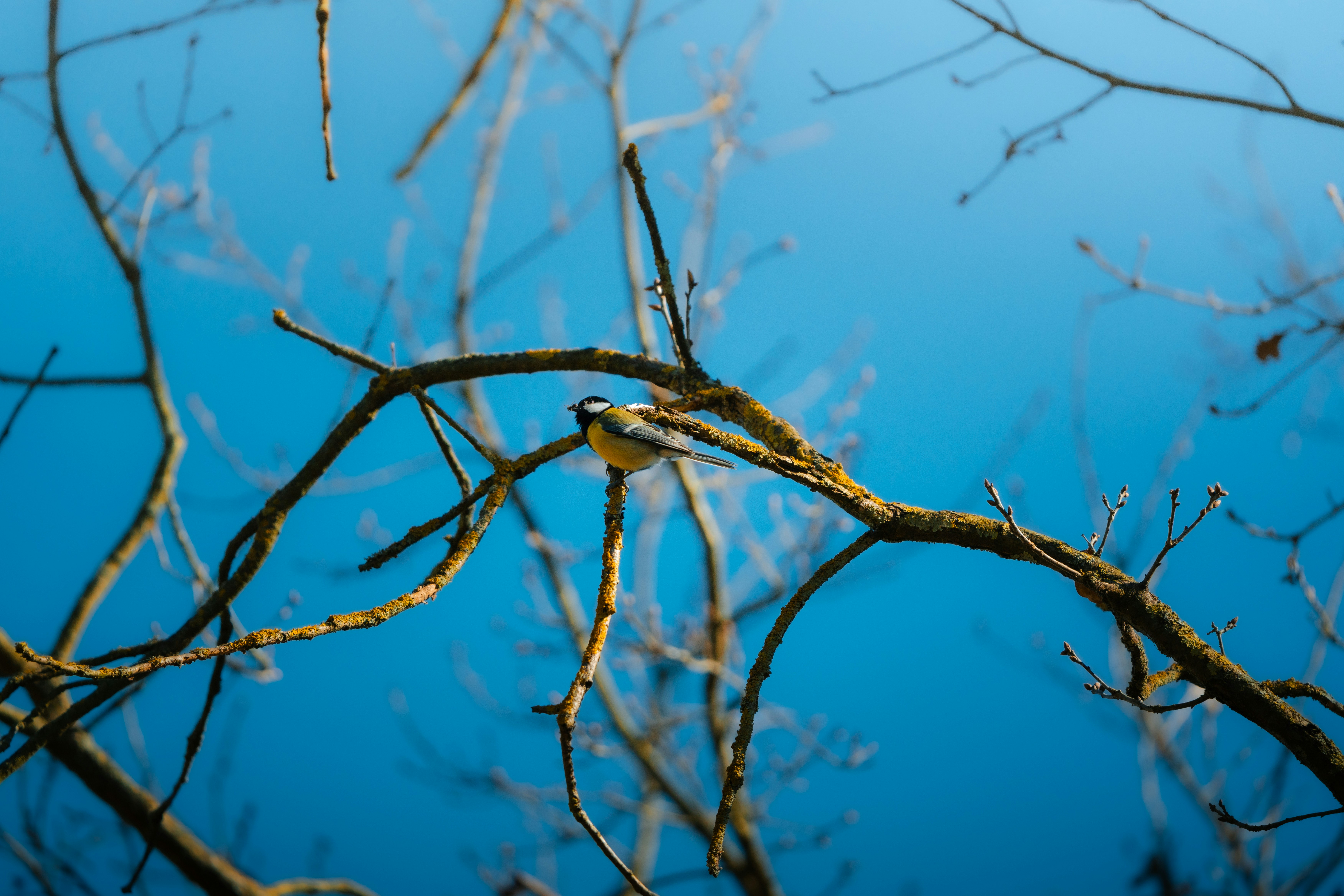 Photo by jonah_loeffler