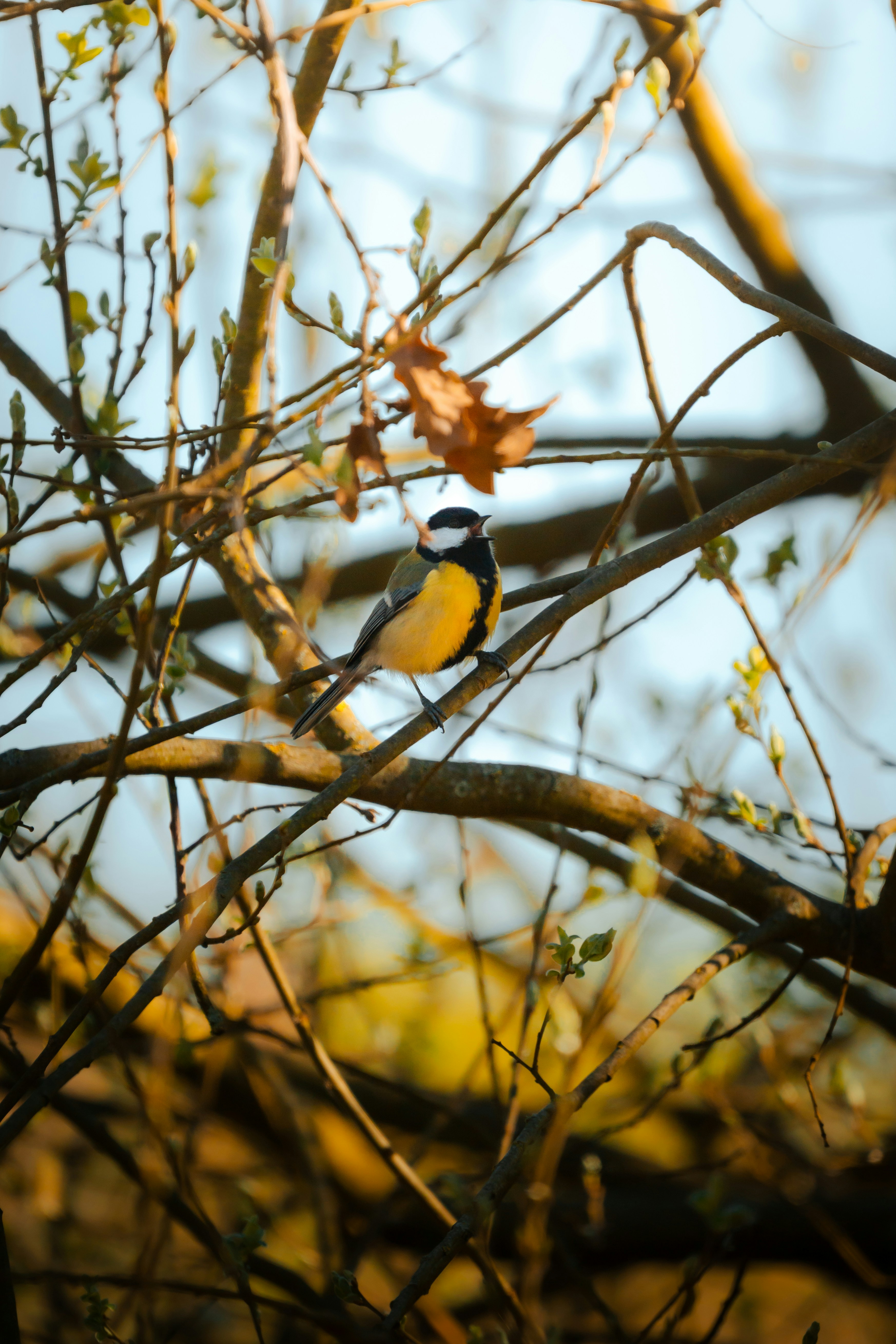 Photo by jonah_loeffler