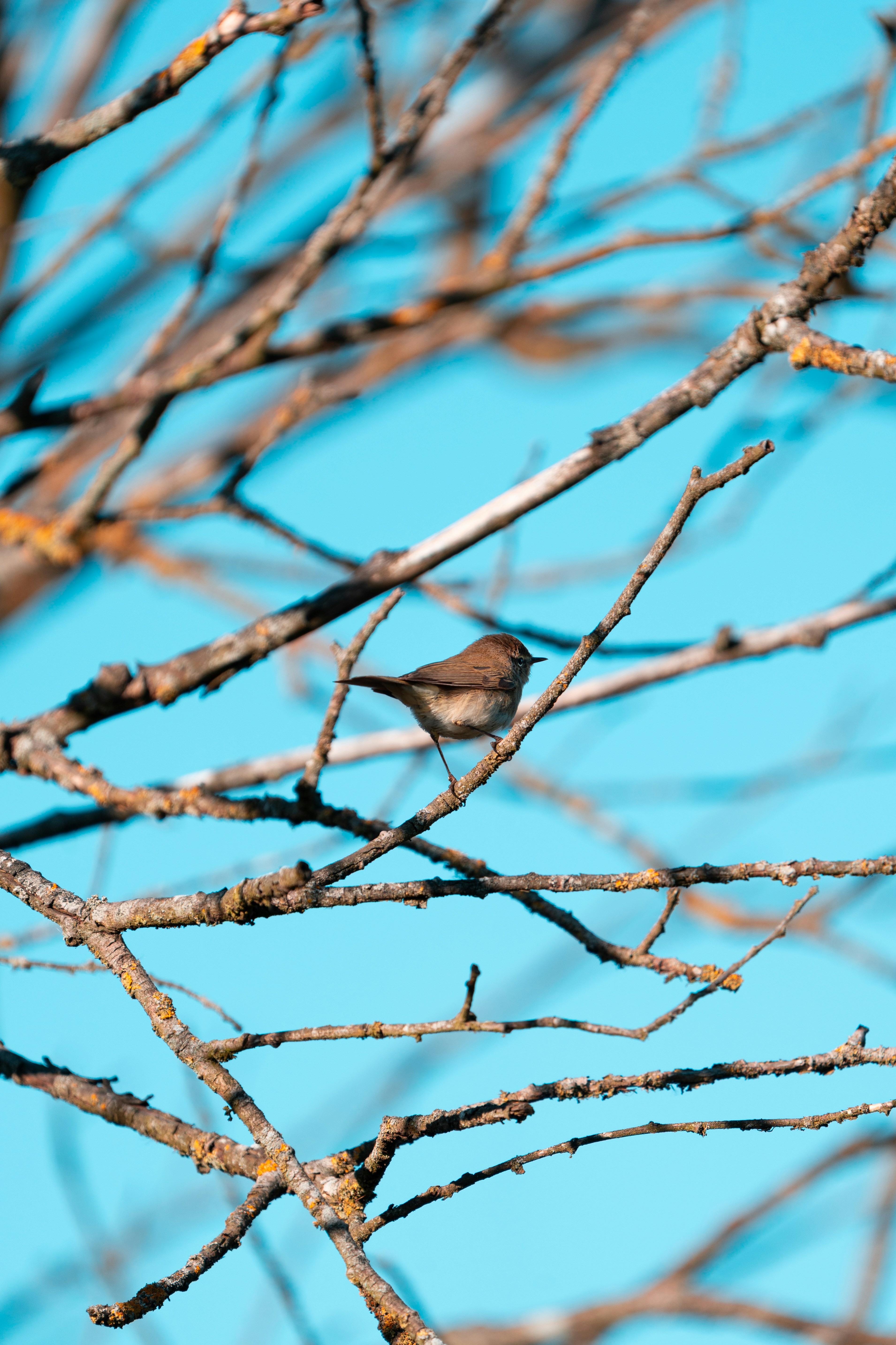 Photo by jonah_loeffler