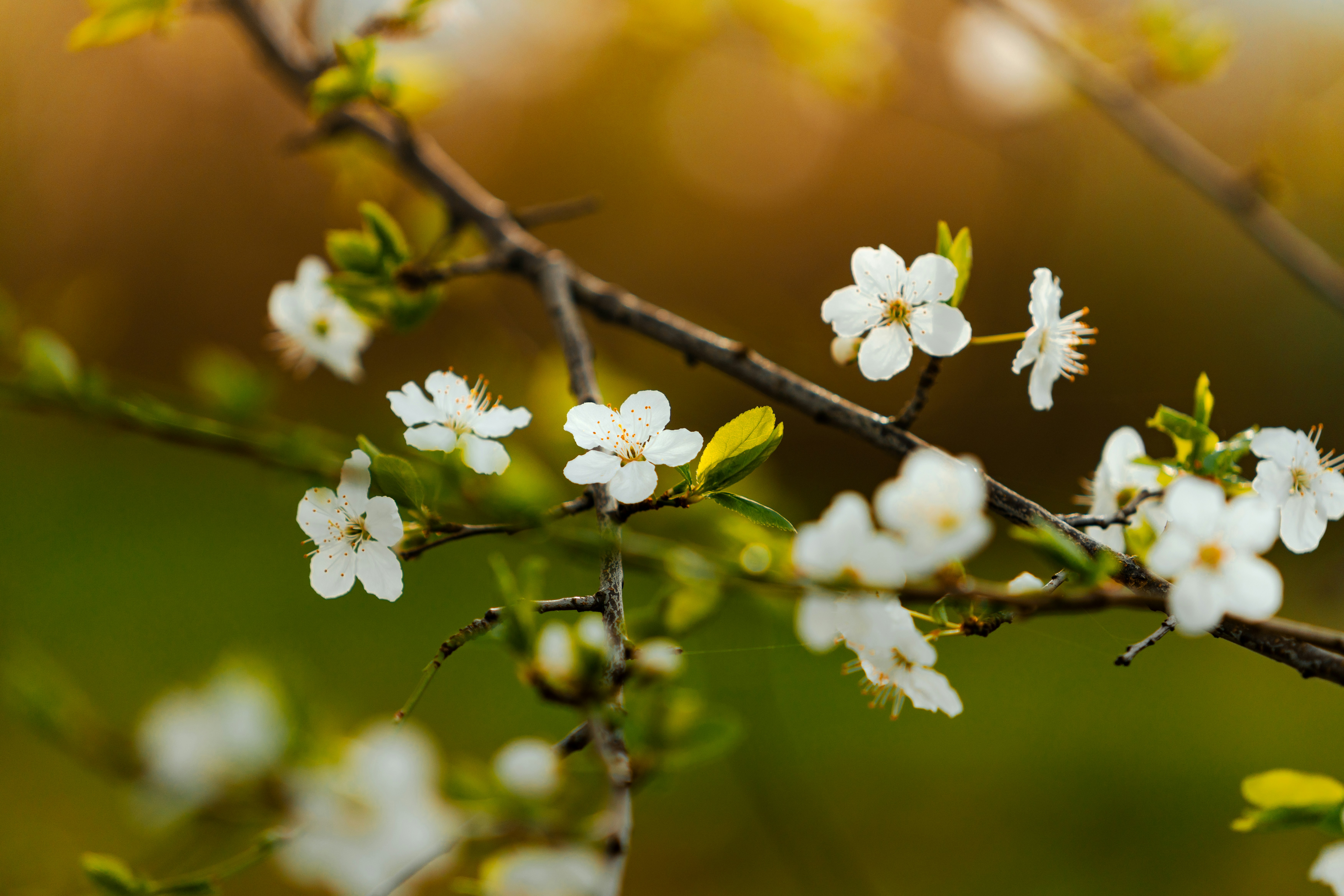 Photo by jonah_loeffler