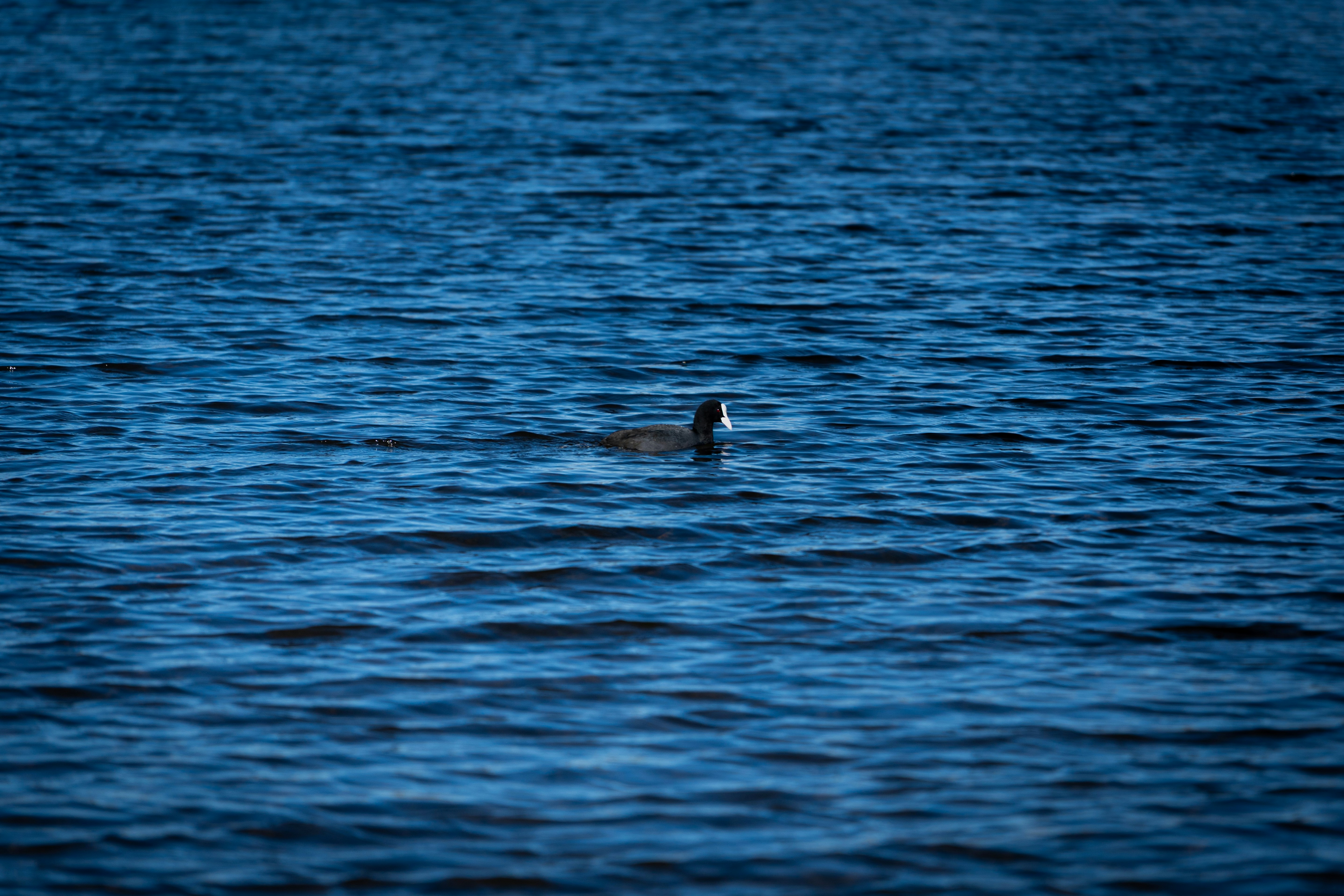 Photo by jonah_loeffler