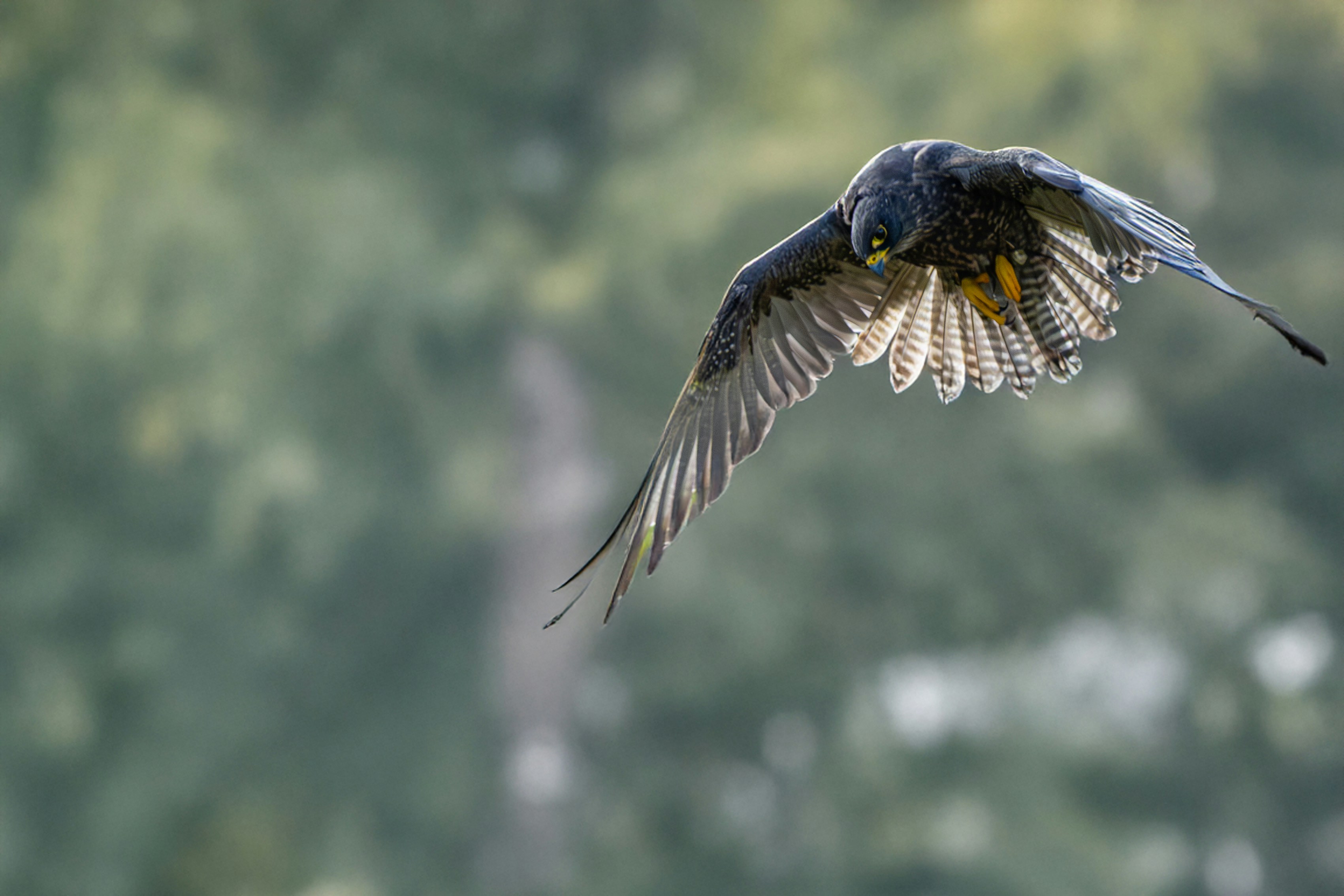 Photo by philrobson100