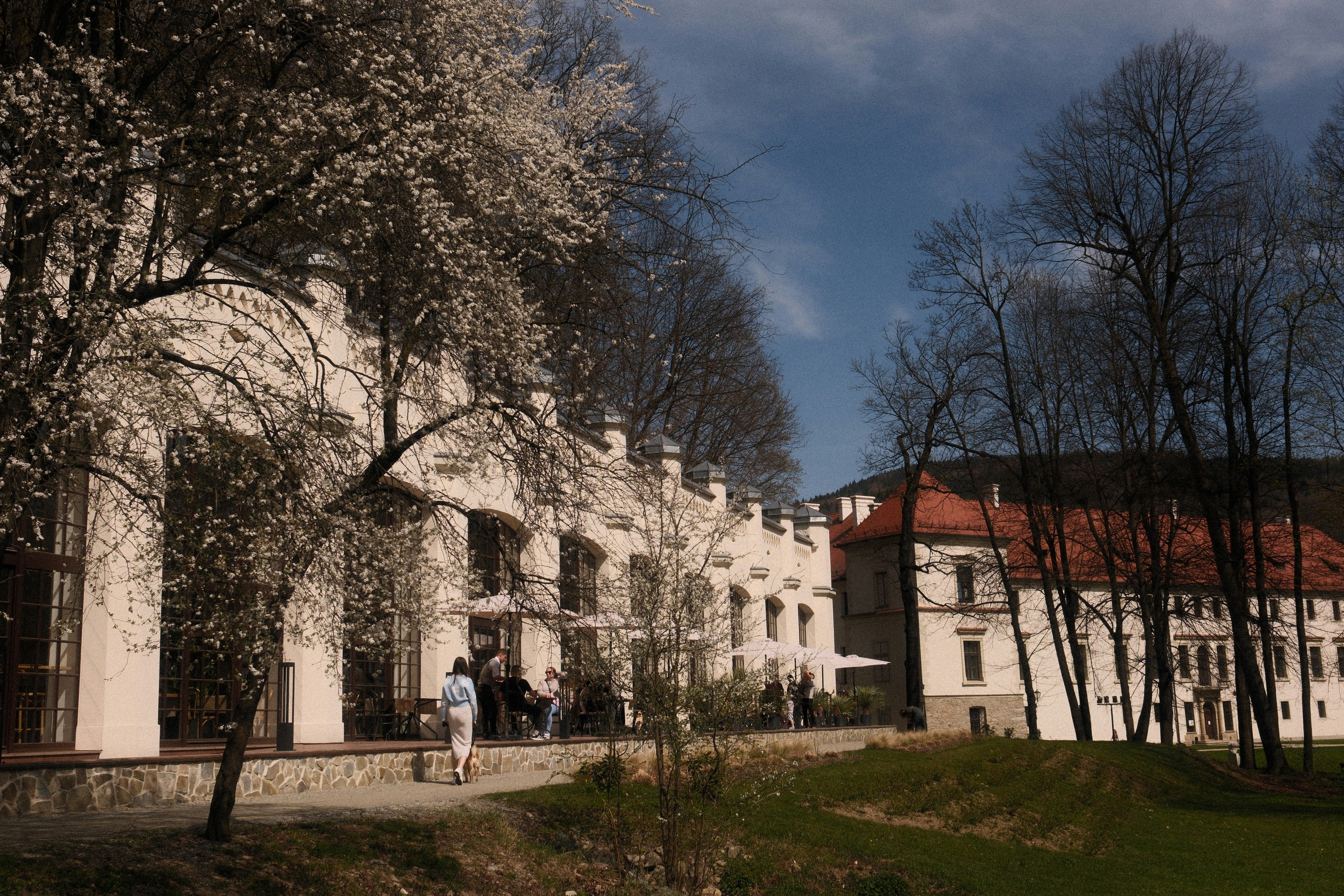 An elegant, white building with blossoming trees., 