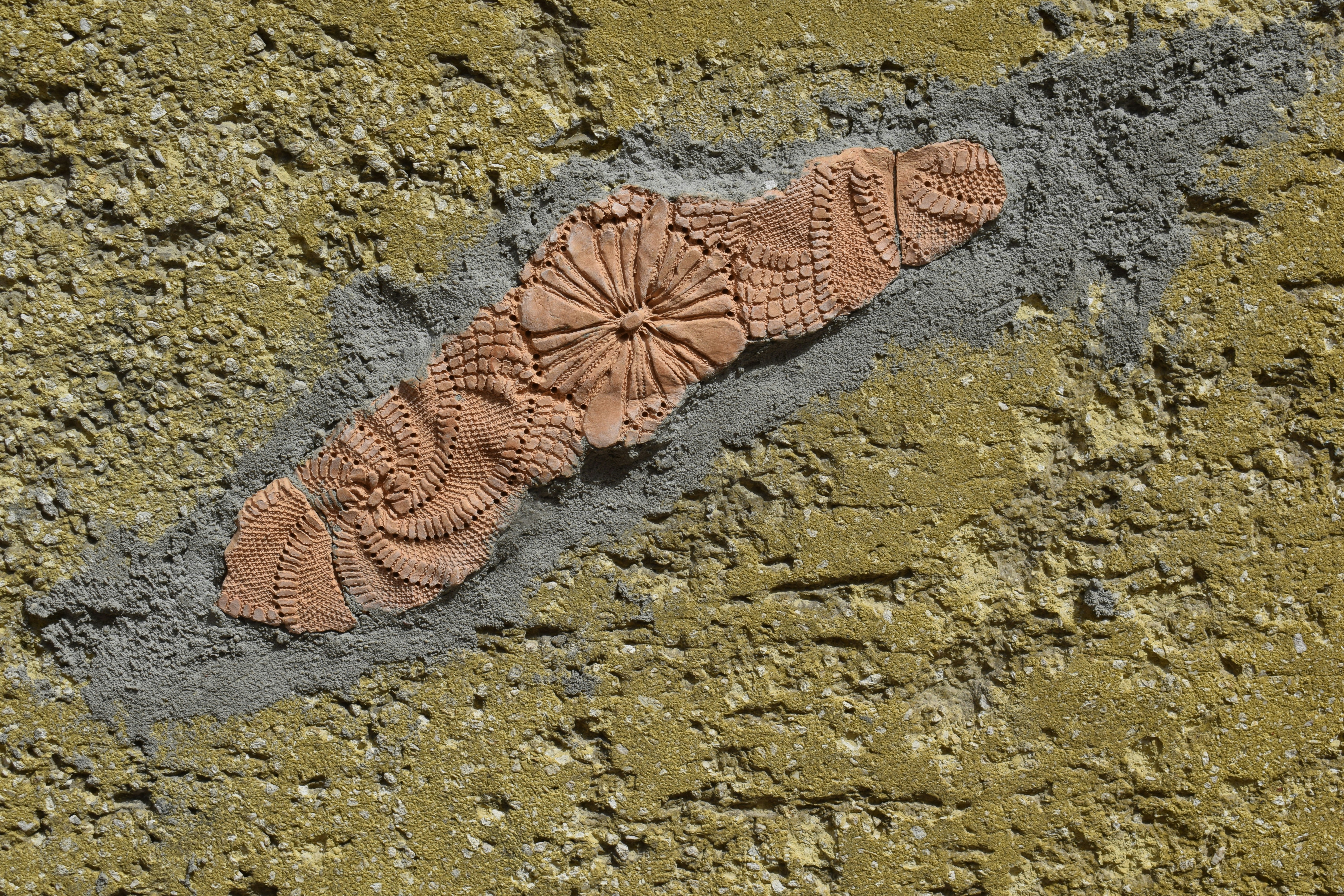 Preserving Specimens in Urban Settings (image credits: unsplash)