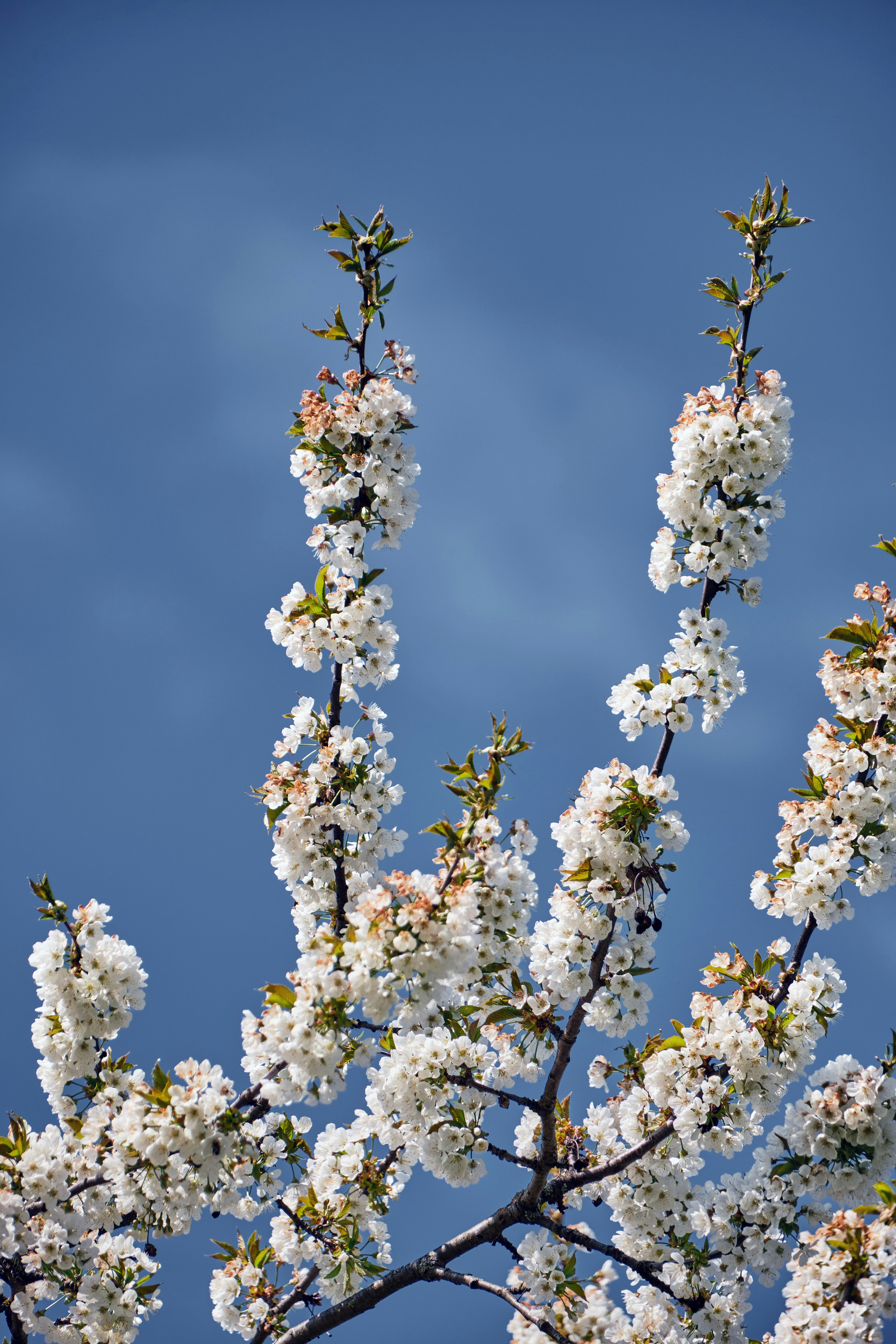 Photo by marcus_ganahl