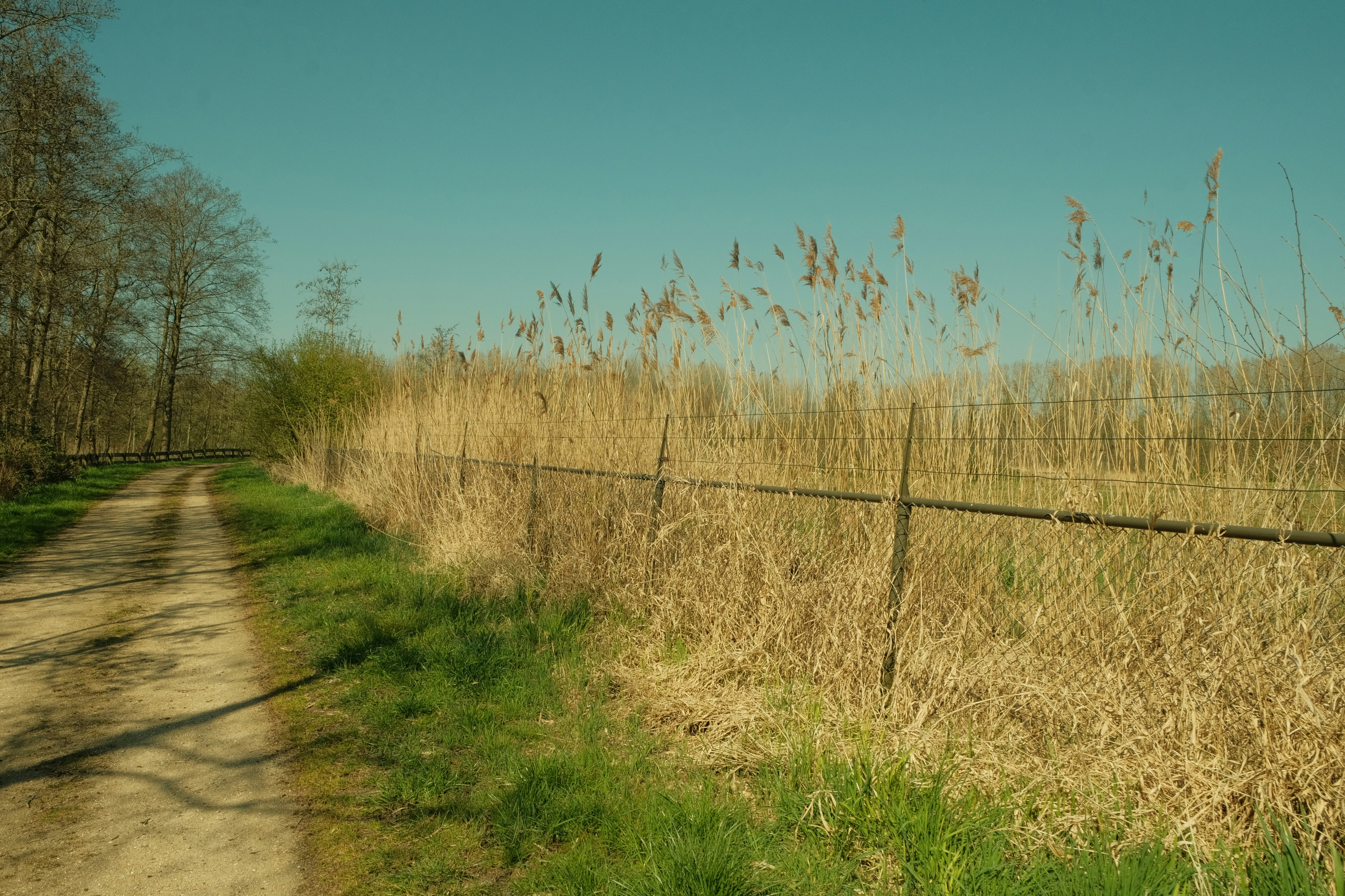 Photo by kyantijhuis