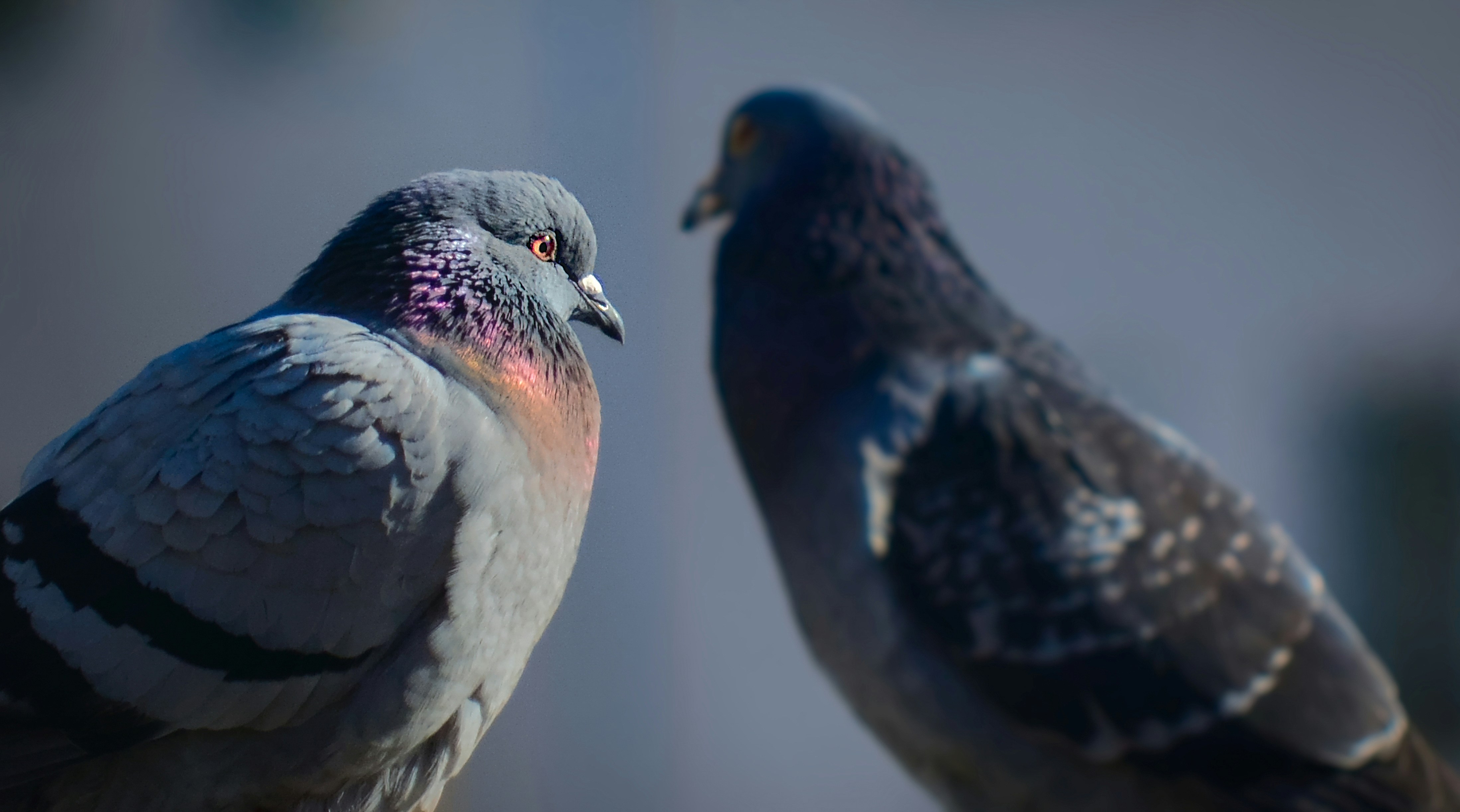 Photo by anna_storsul