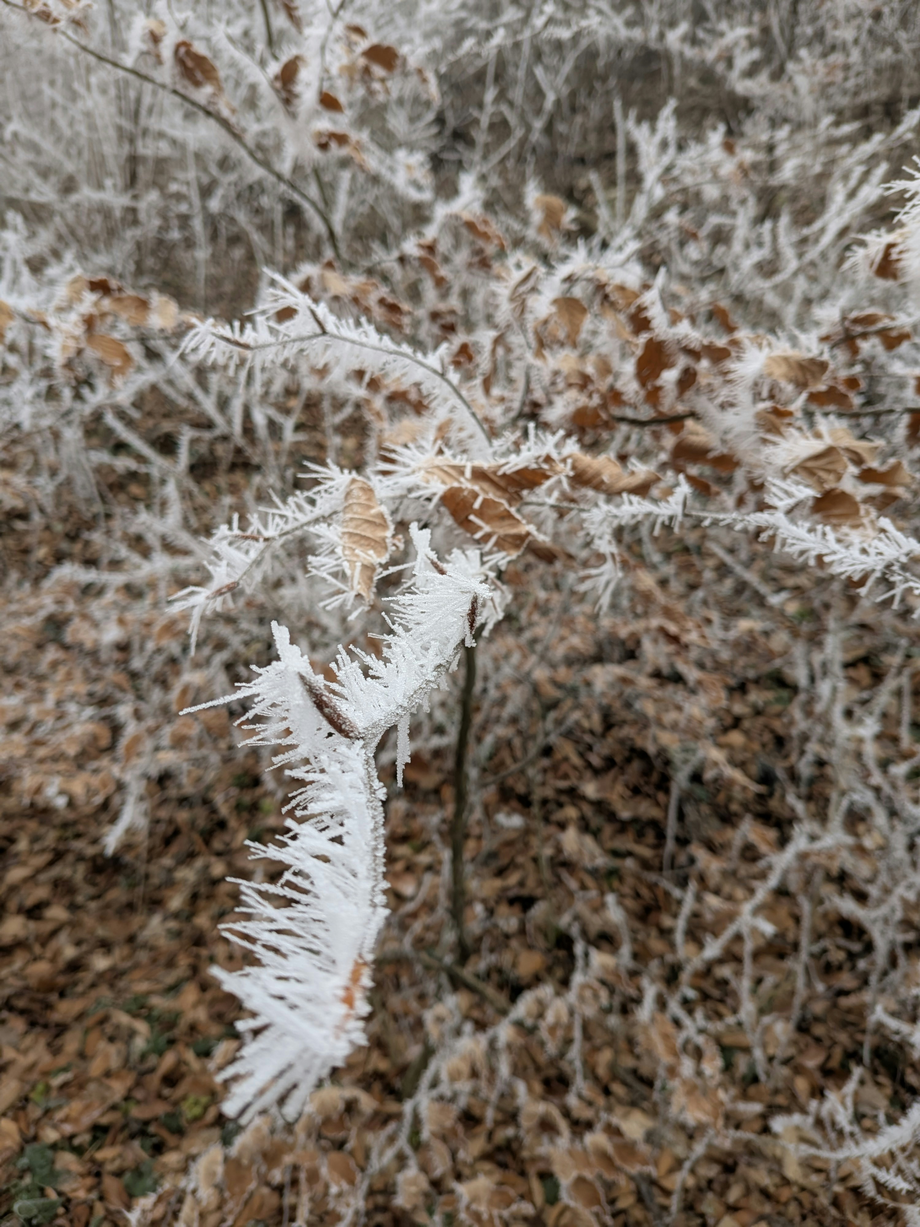 Photo by nandorkelecsenyi