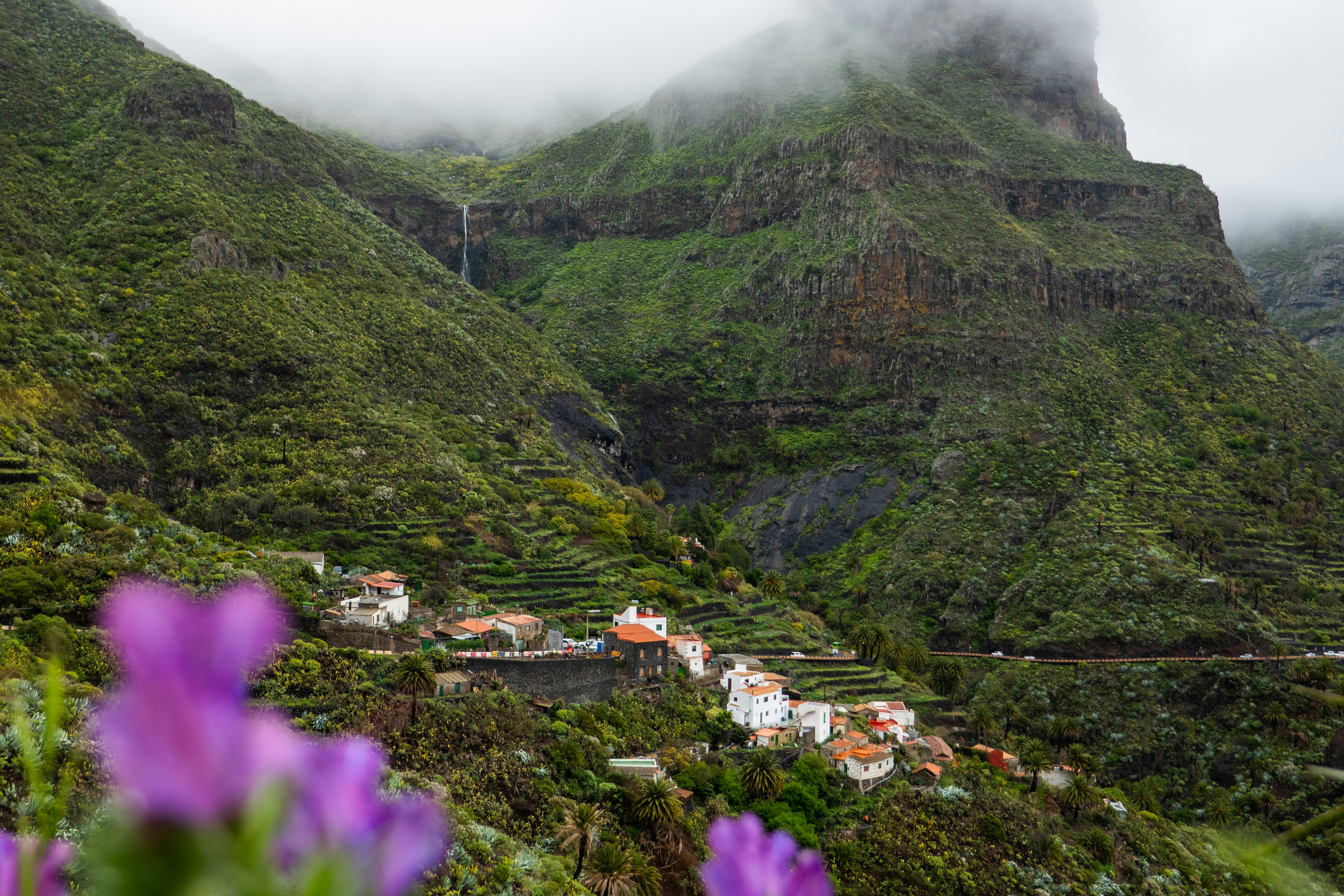 Photo by bscarlataphoto