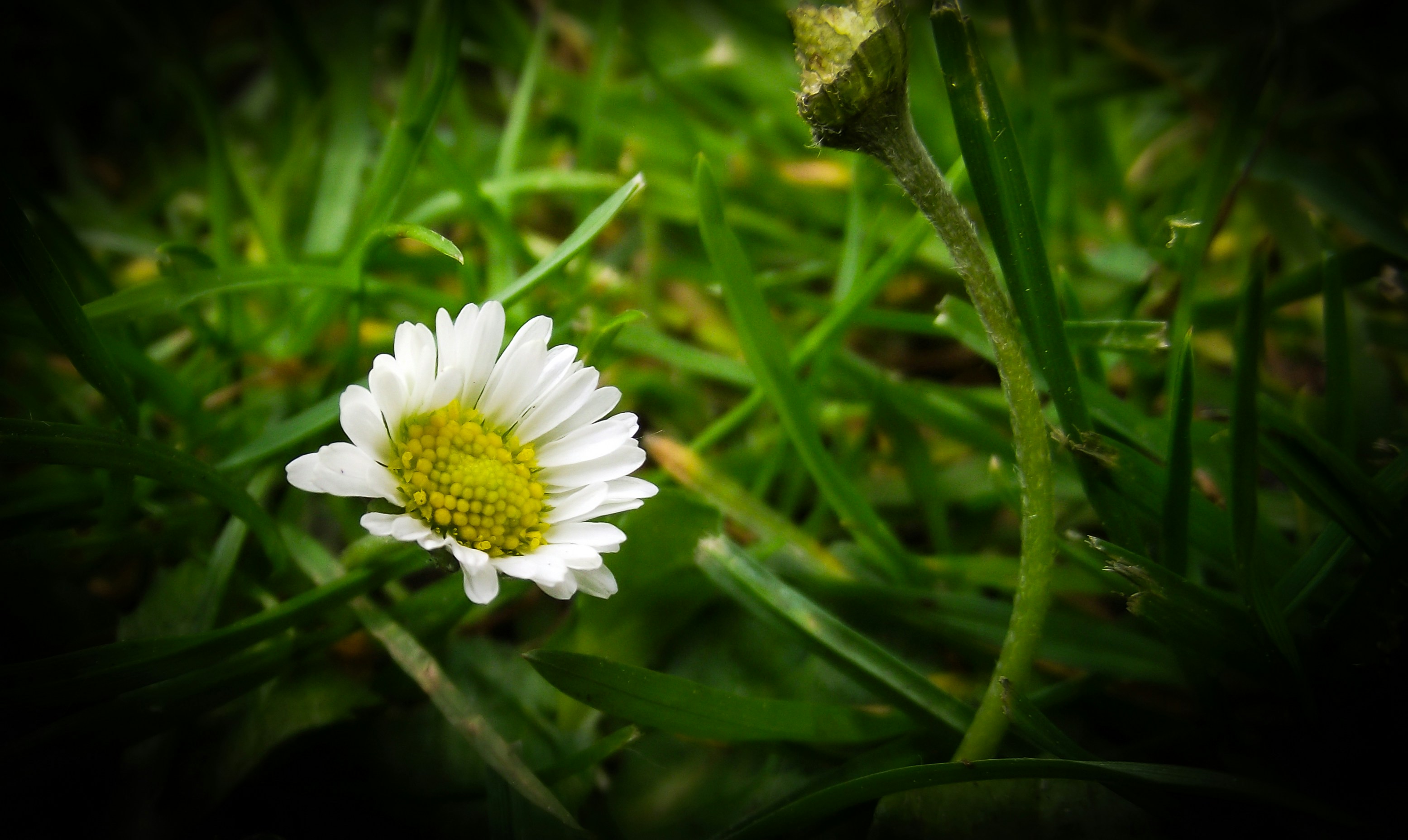 Photo by scottsalchemy