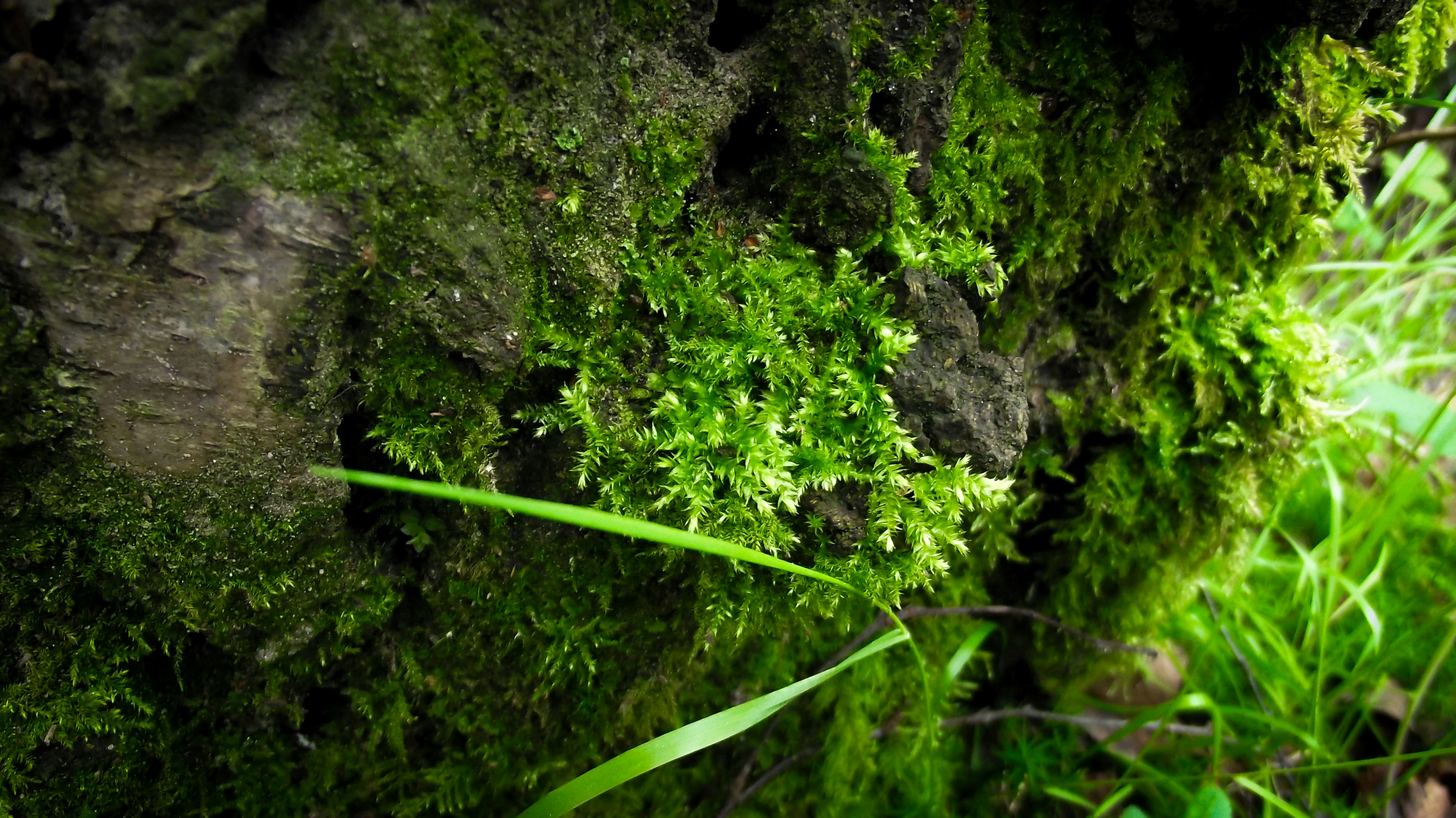 Photo by scottsalchemy