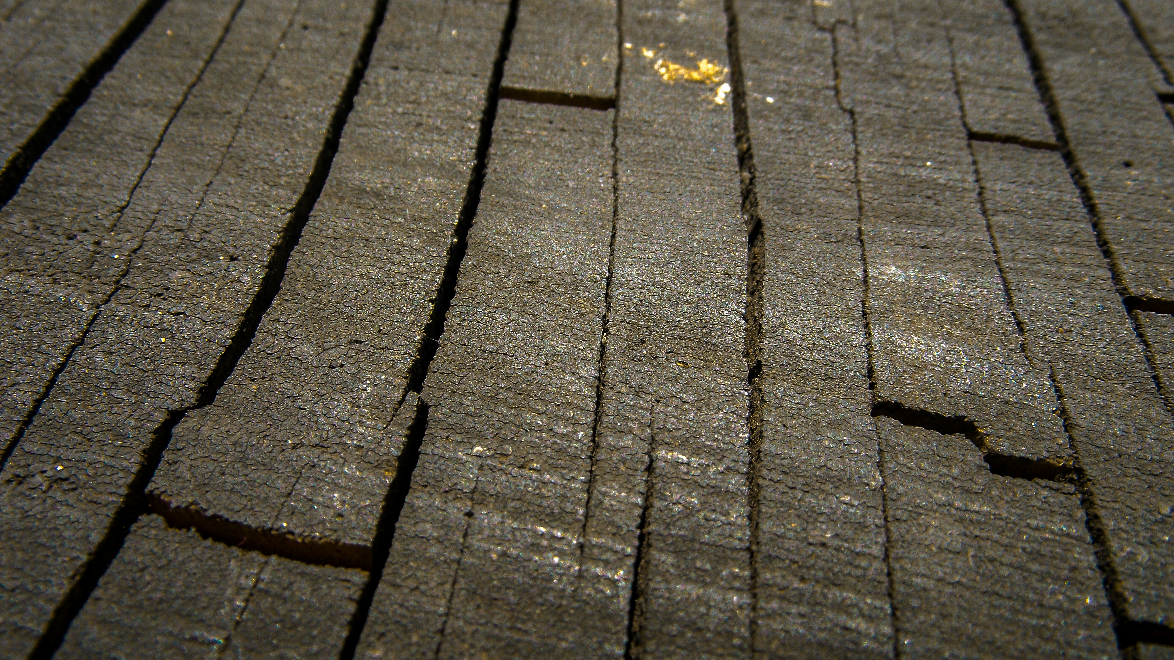 Photo by scottsalchemy