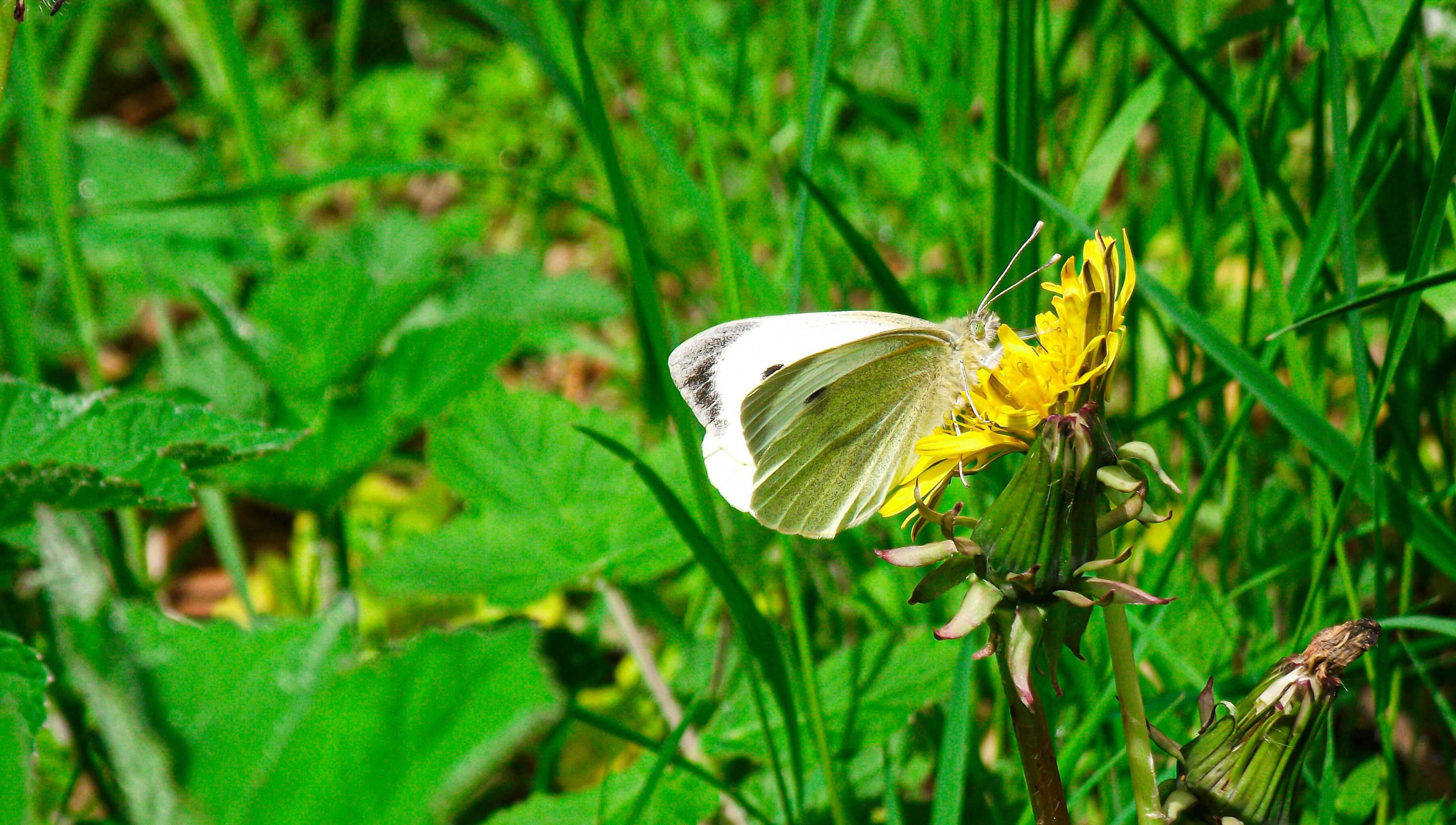 Photo by scottsalchemy