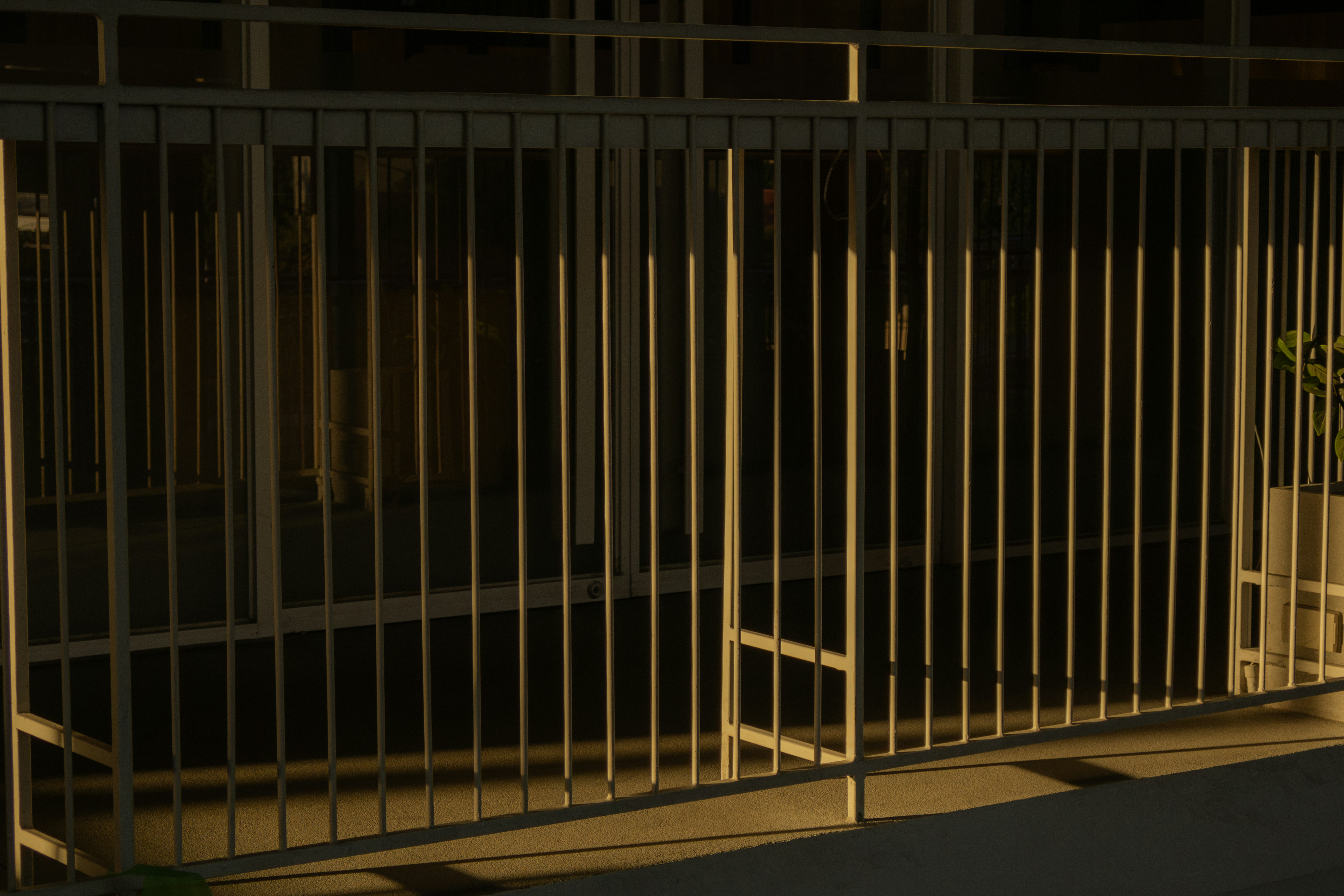 Photo by bridgetadolfo