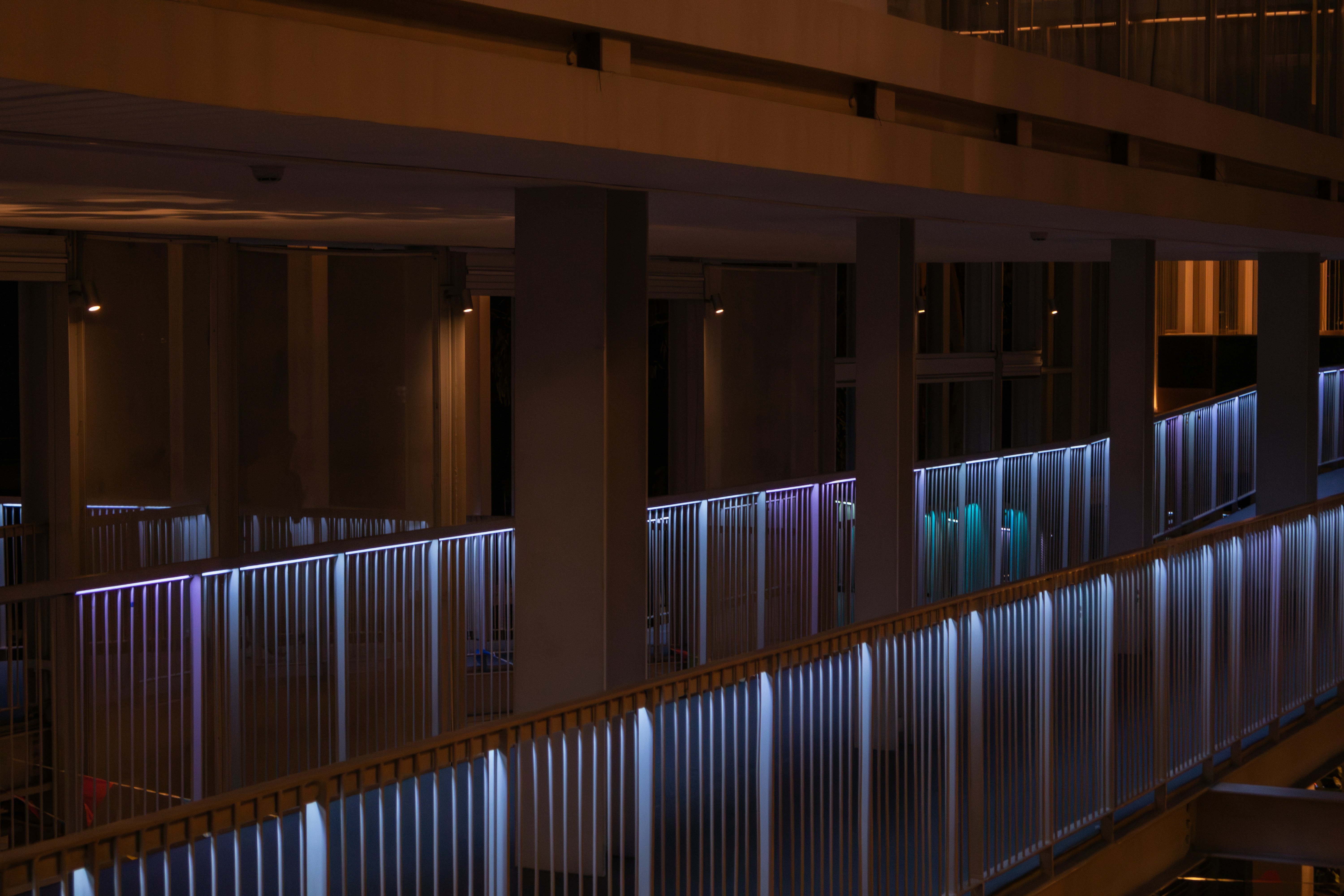 Photo by bridgetadolfo