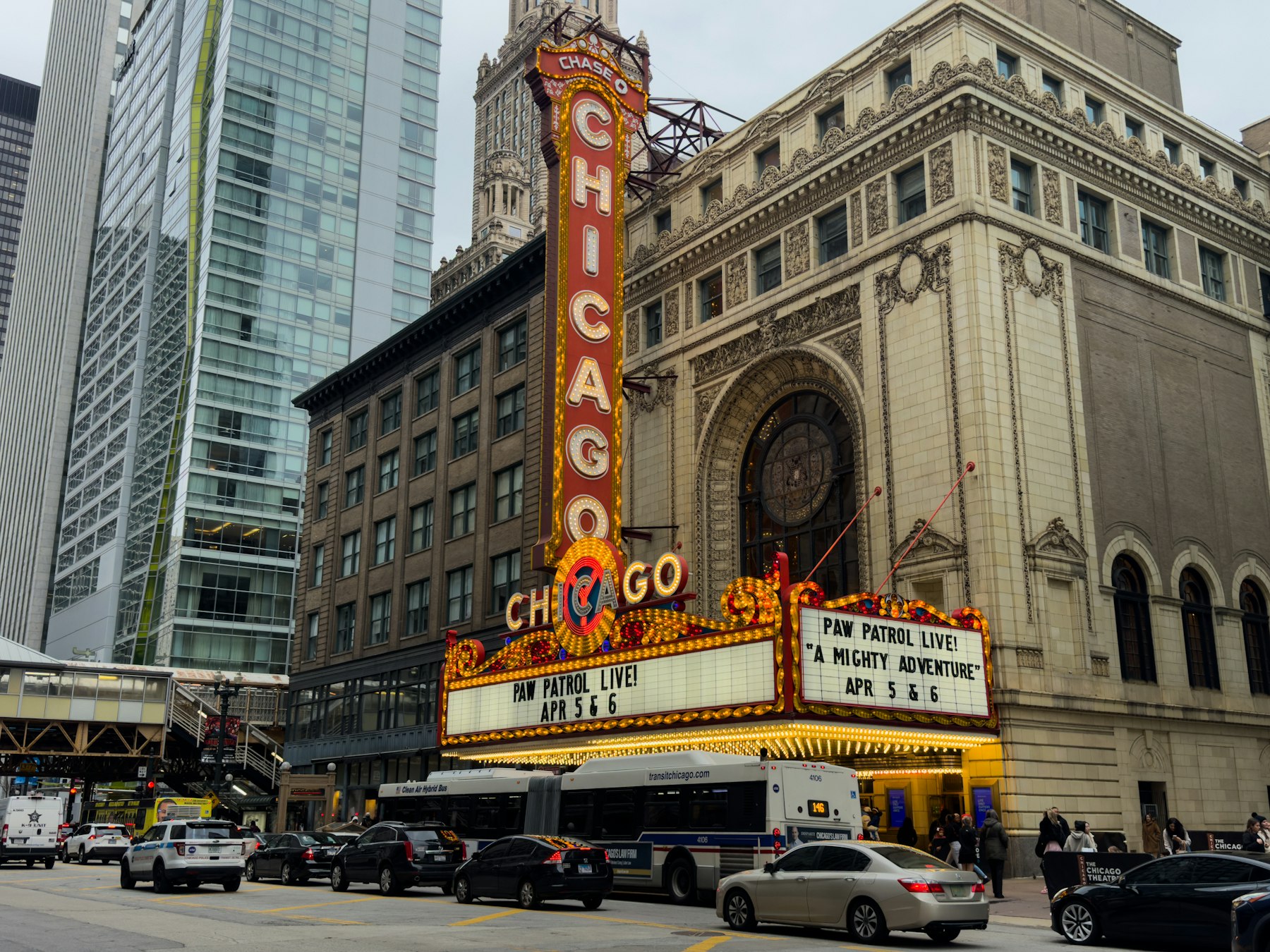 Top 20 Henna Artists to Shortlist in Chicago (2026)