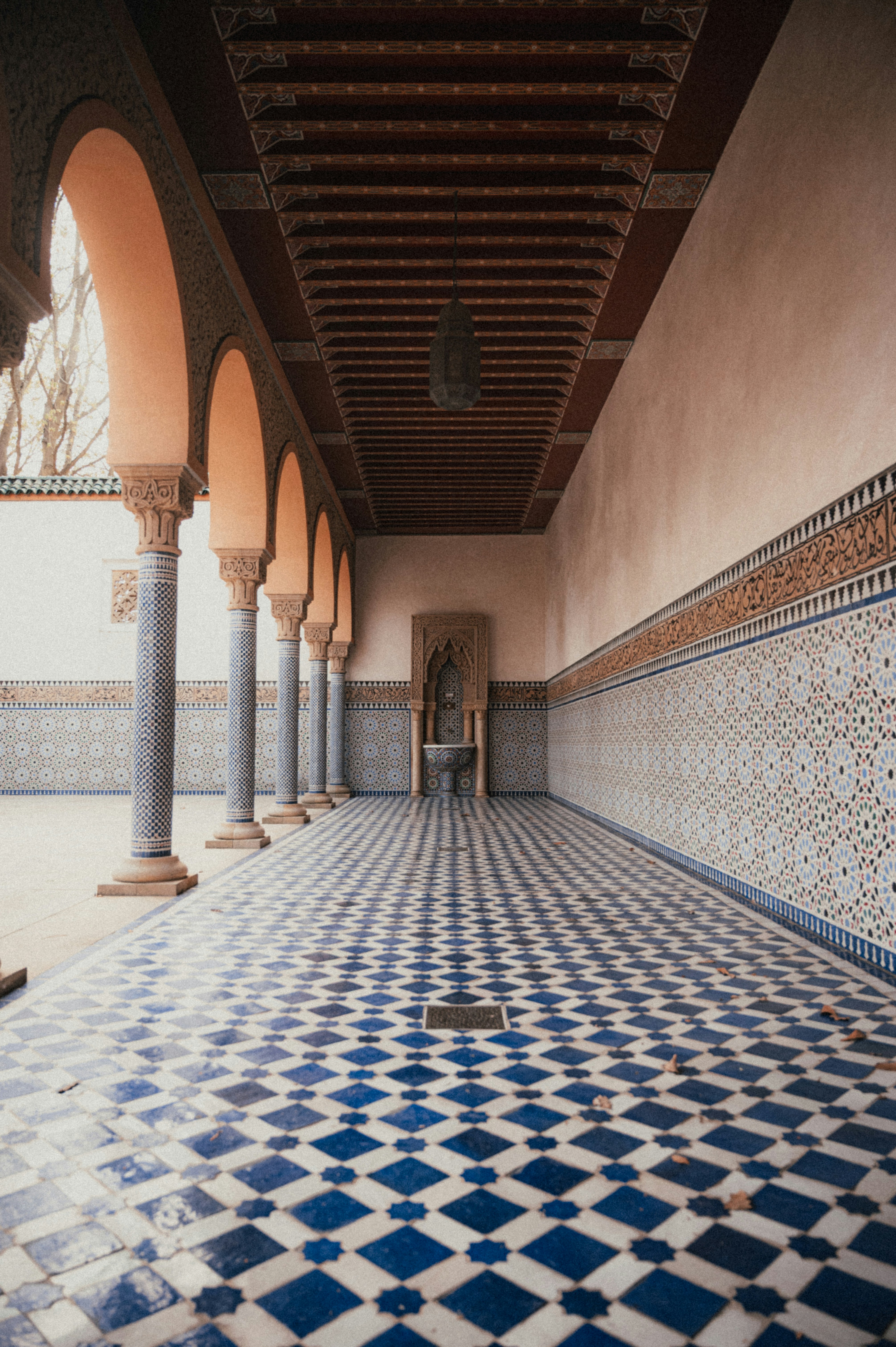 Photo by luca_severin