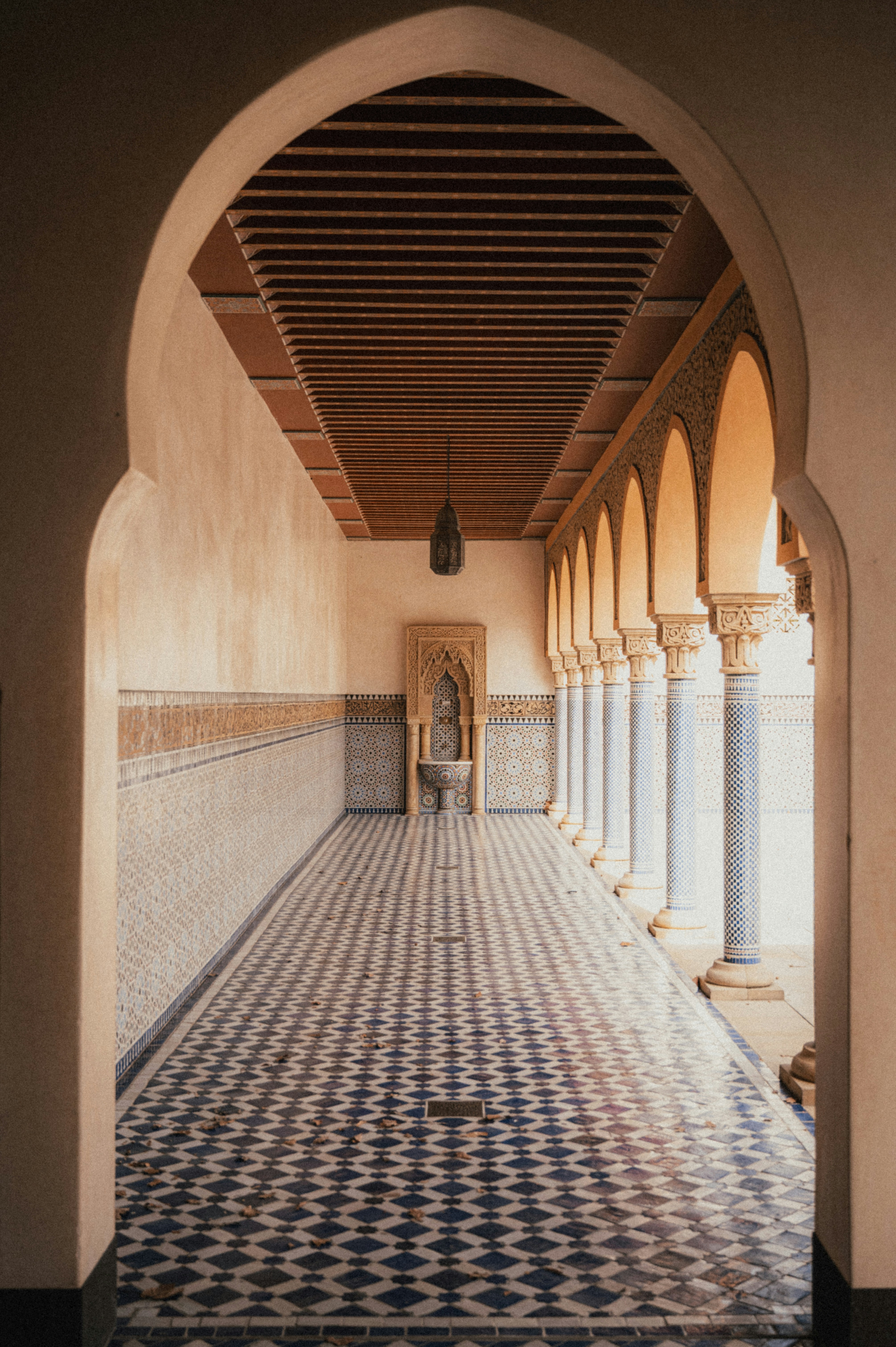 Photo by luca_severin