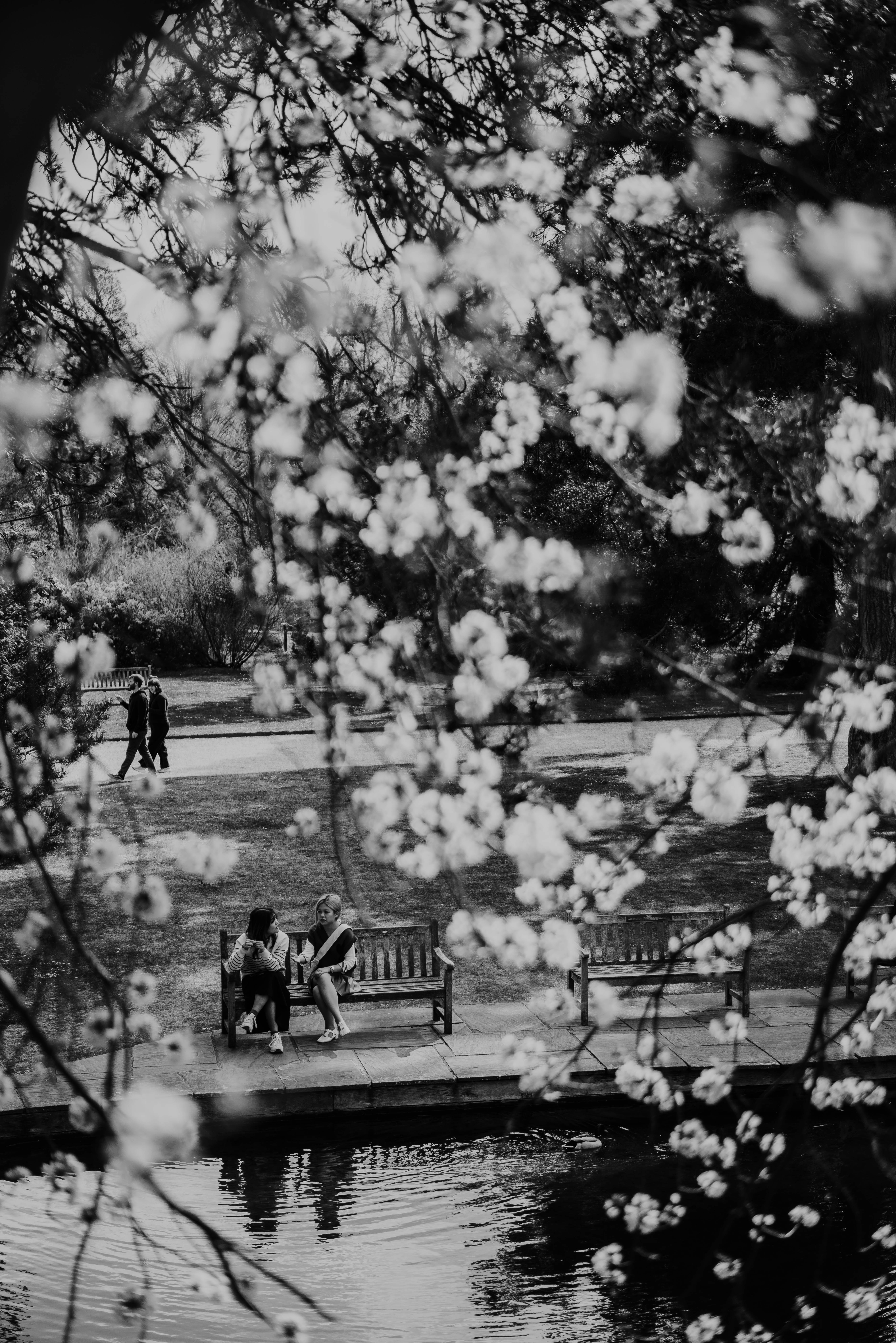 Photo by philhearing