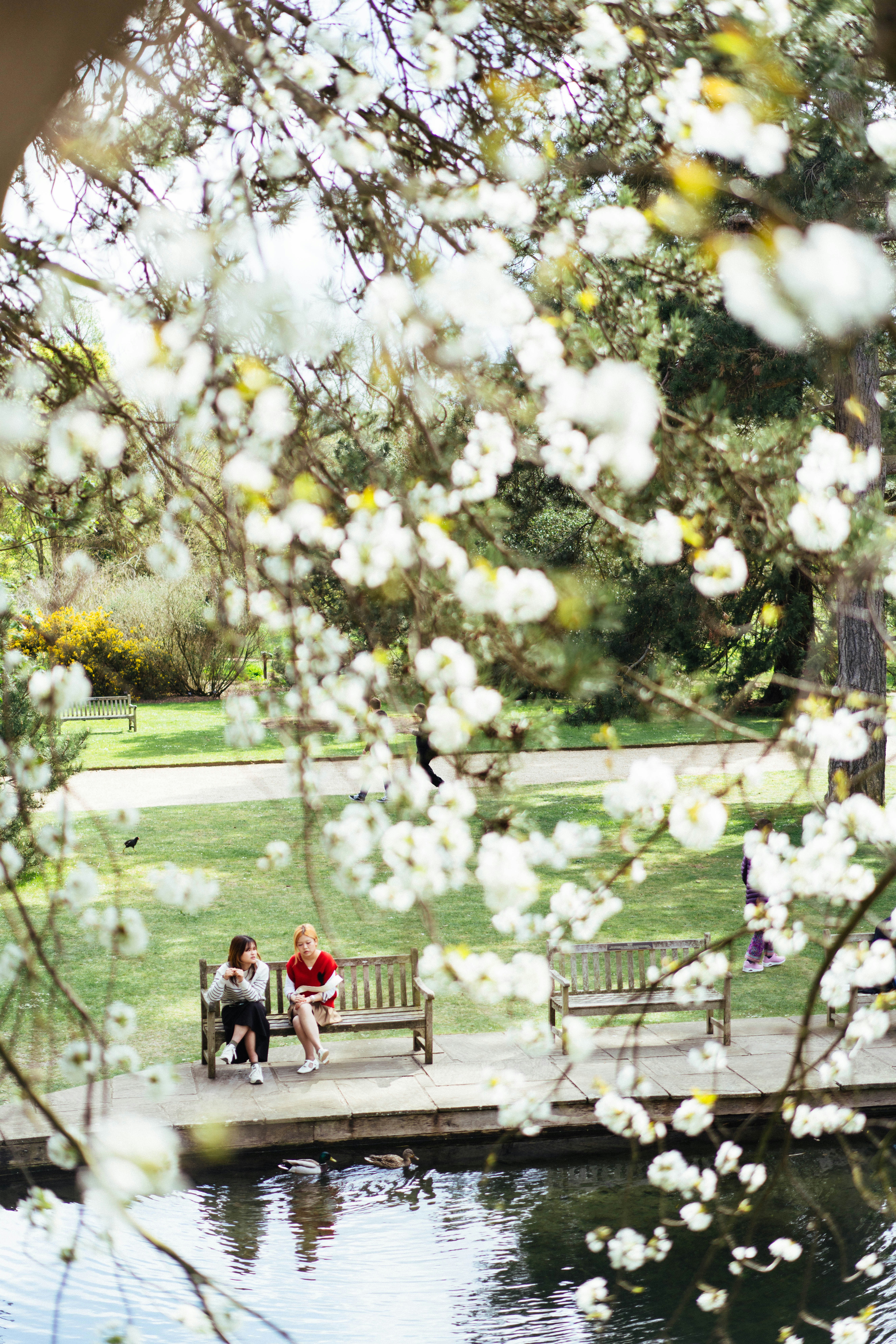 Photo by philhearing