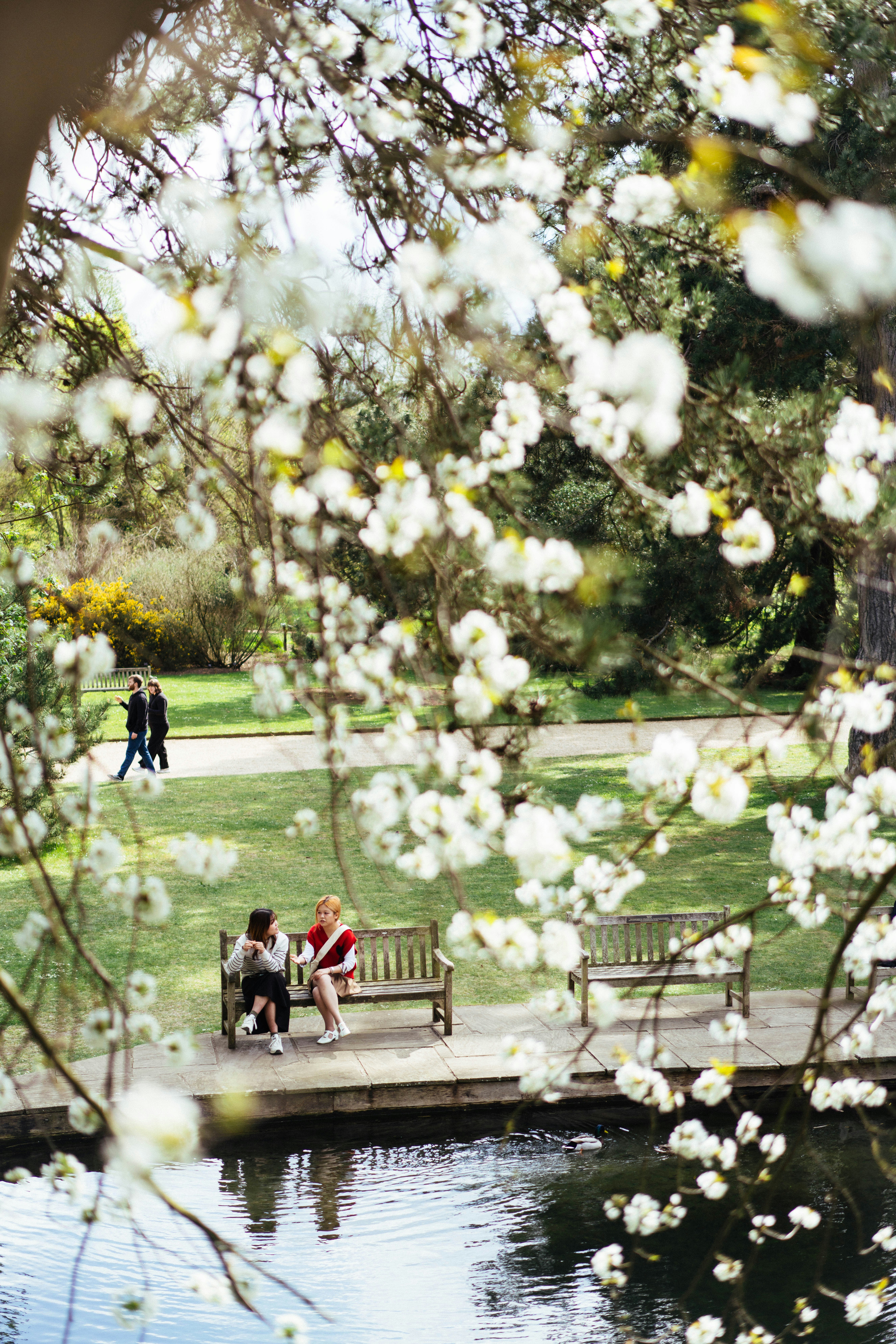 Photo by philhearing