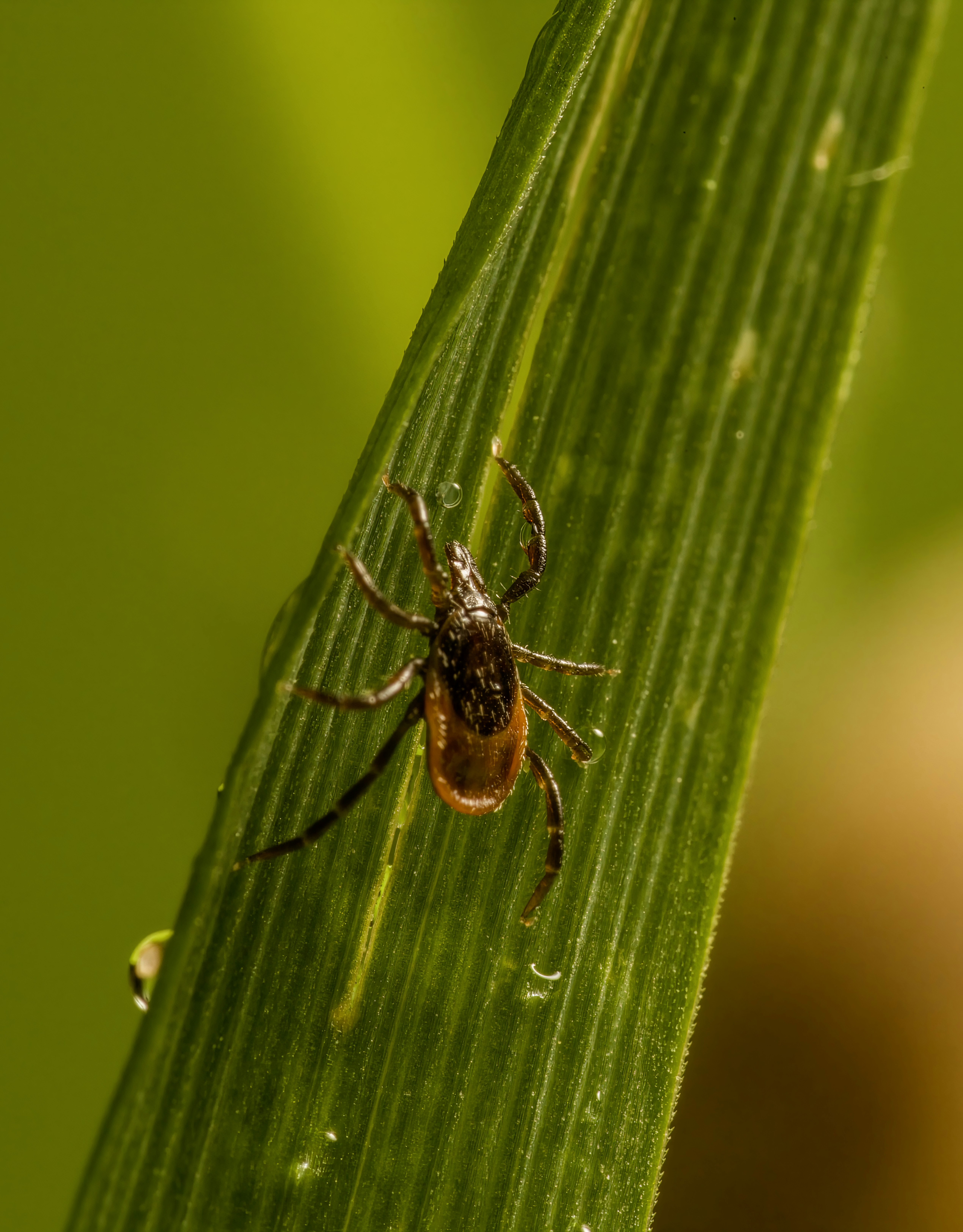 Photo by erik_karits