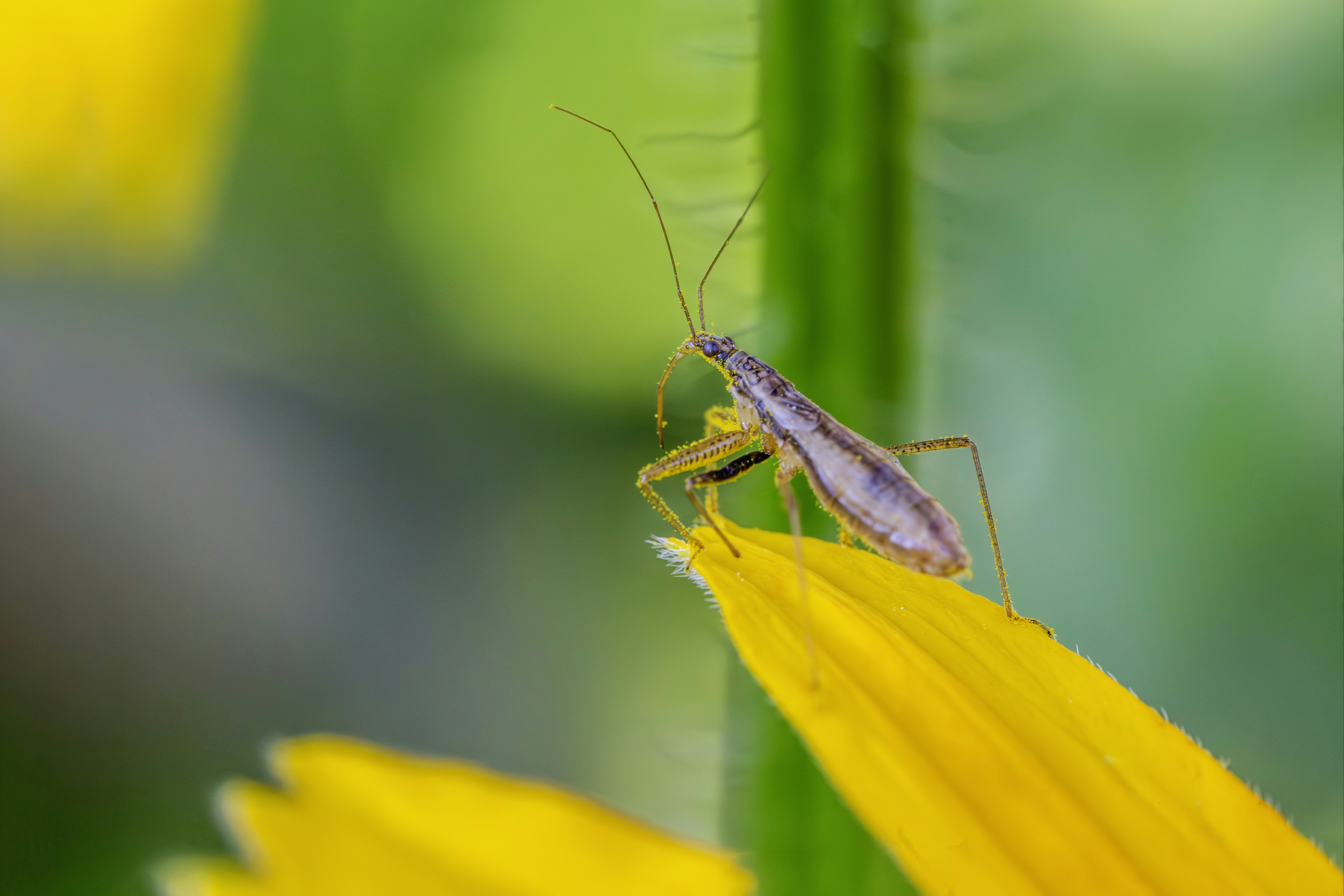 Photo by erik_karits