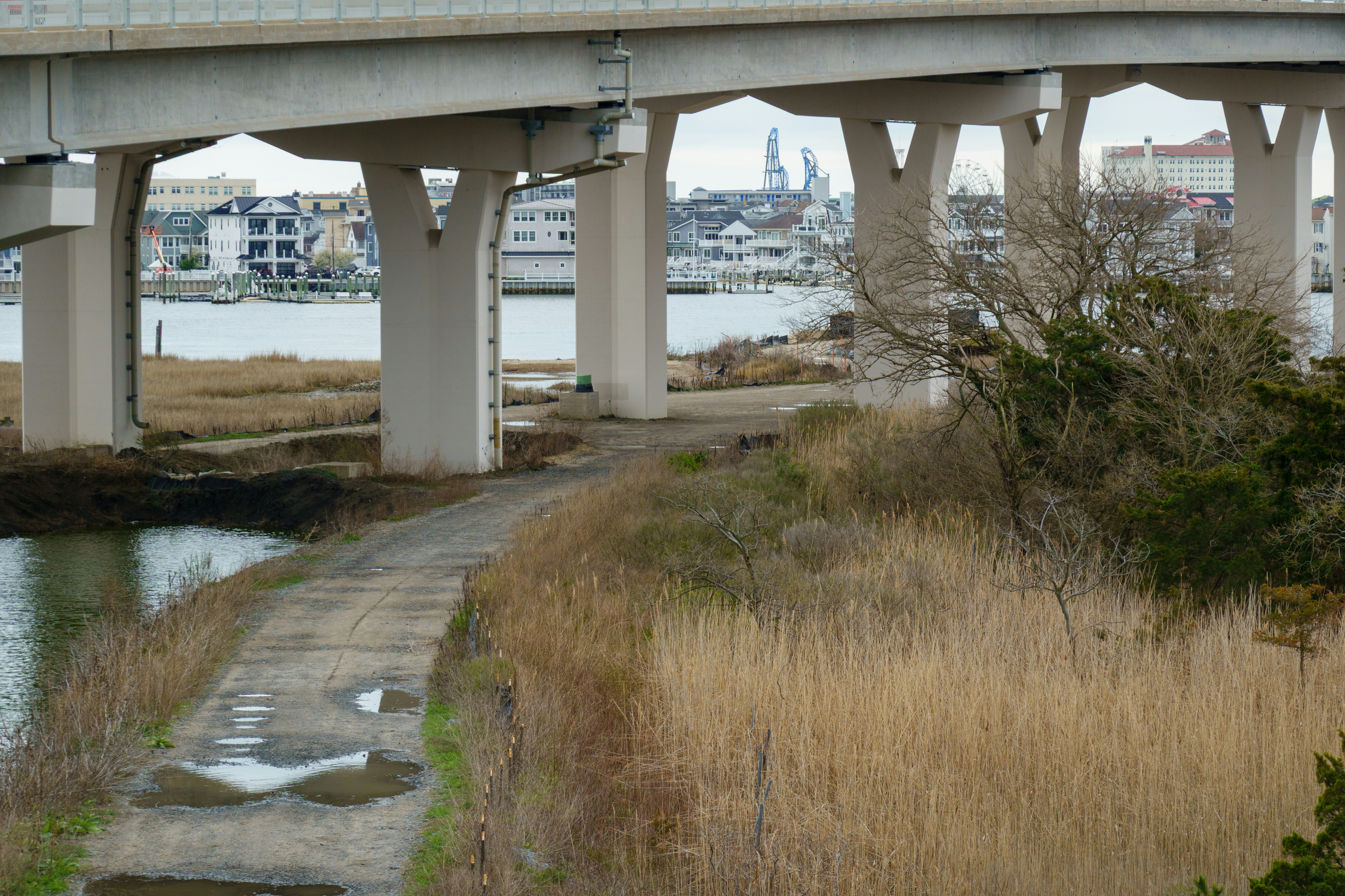 A path leads under a bridge near the water.
