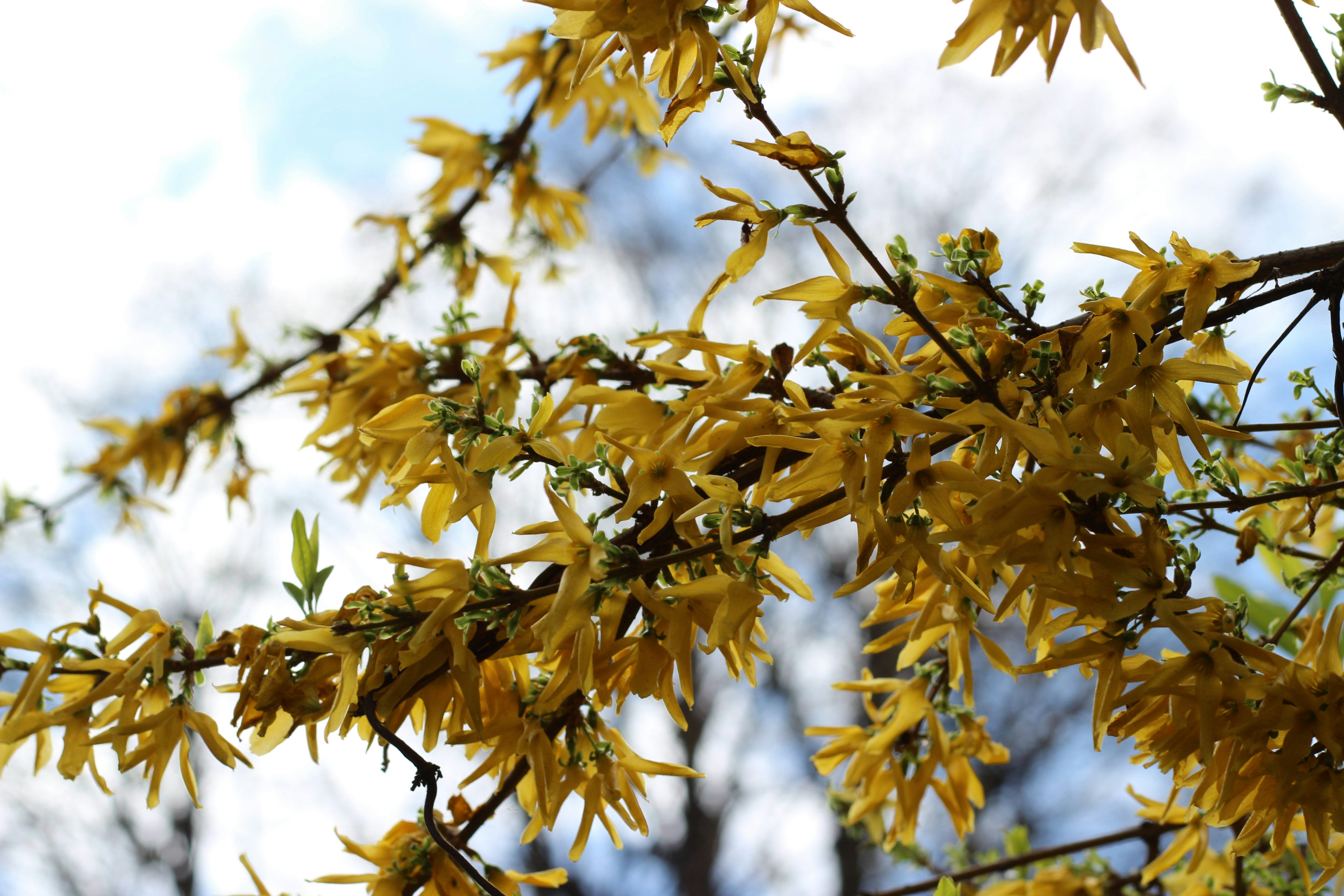 Photo by fotografialuivlad