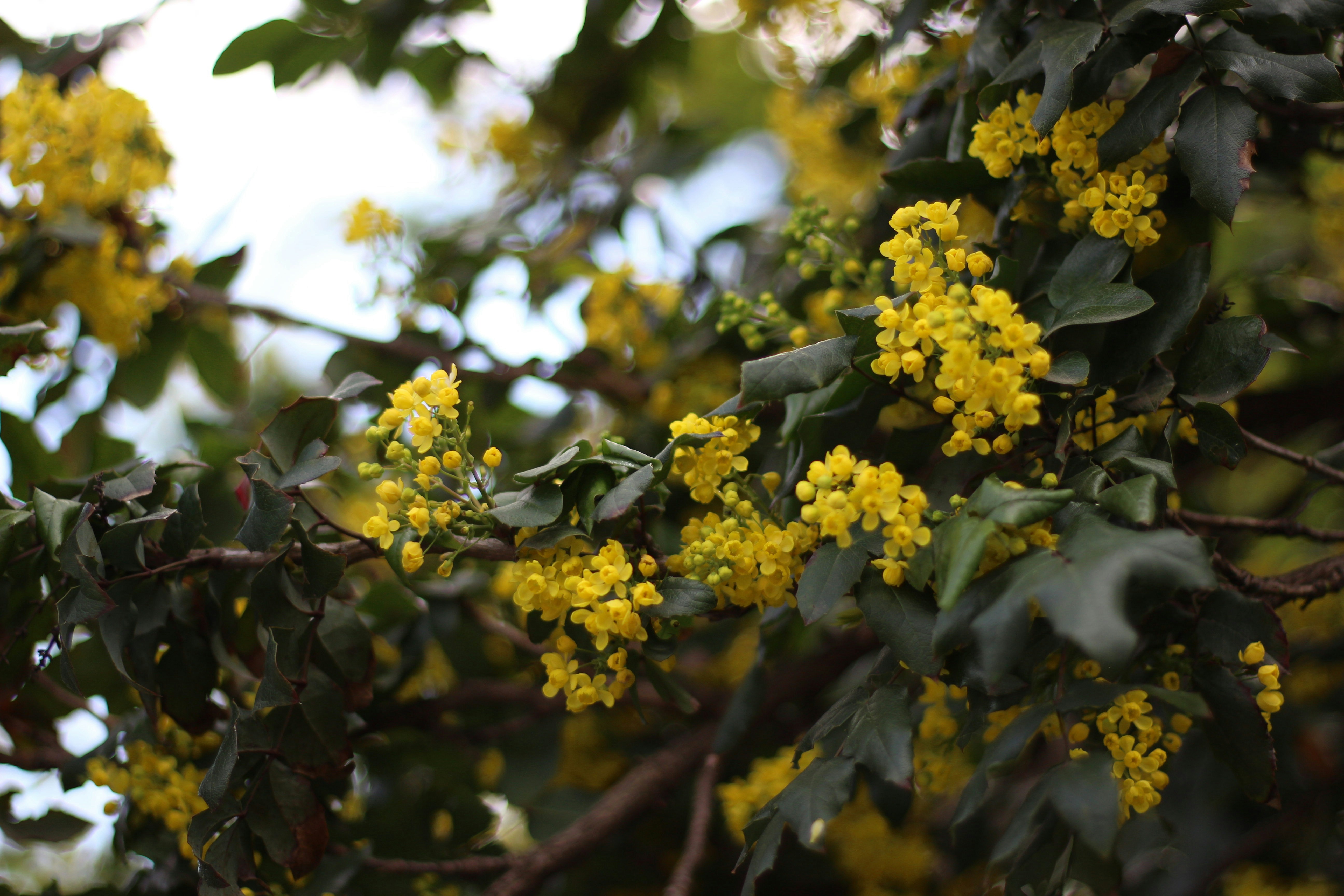 Photo by fotografialuivlad