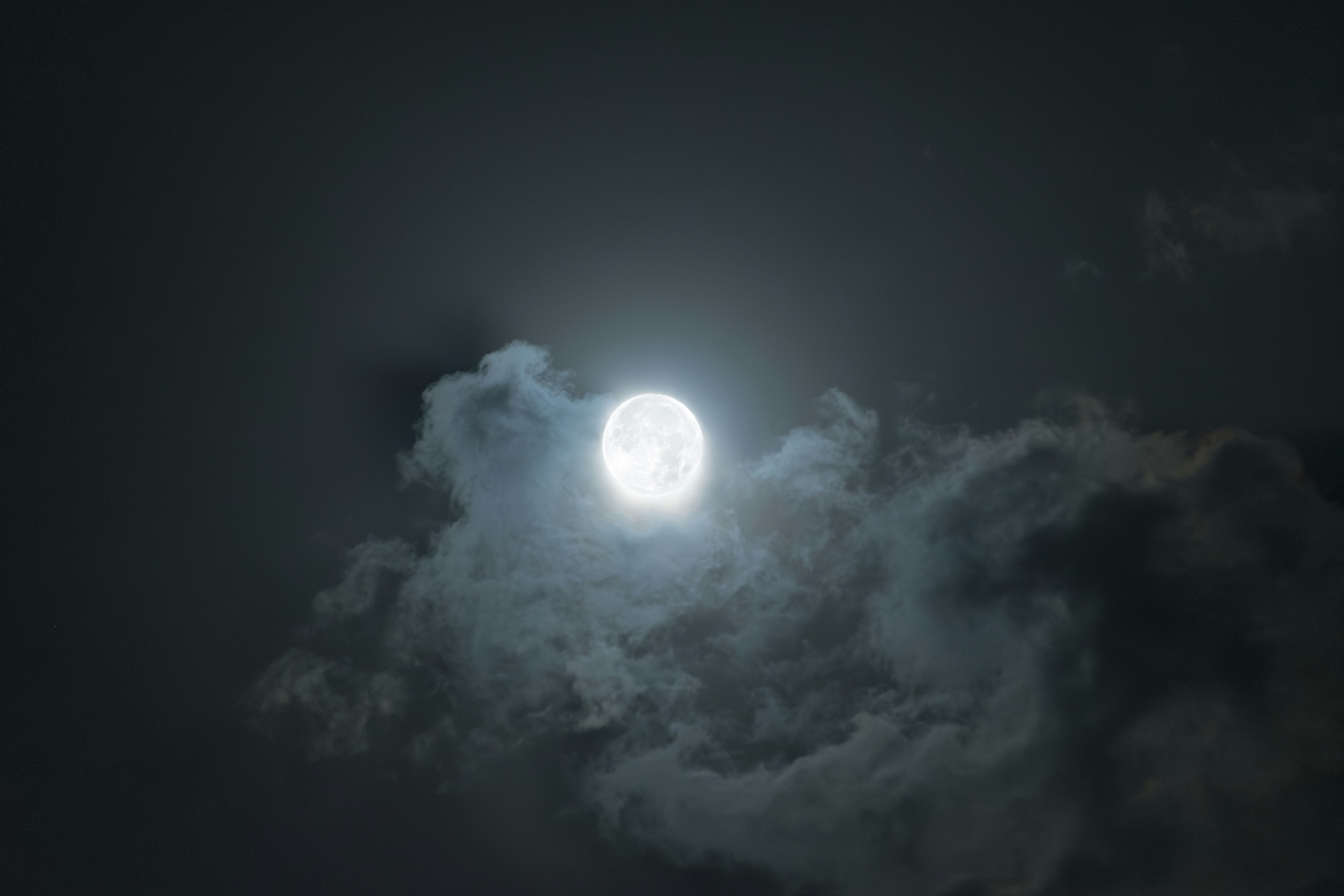 Photo by s_ahmadreza_p