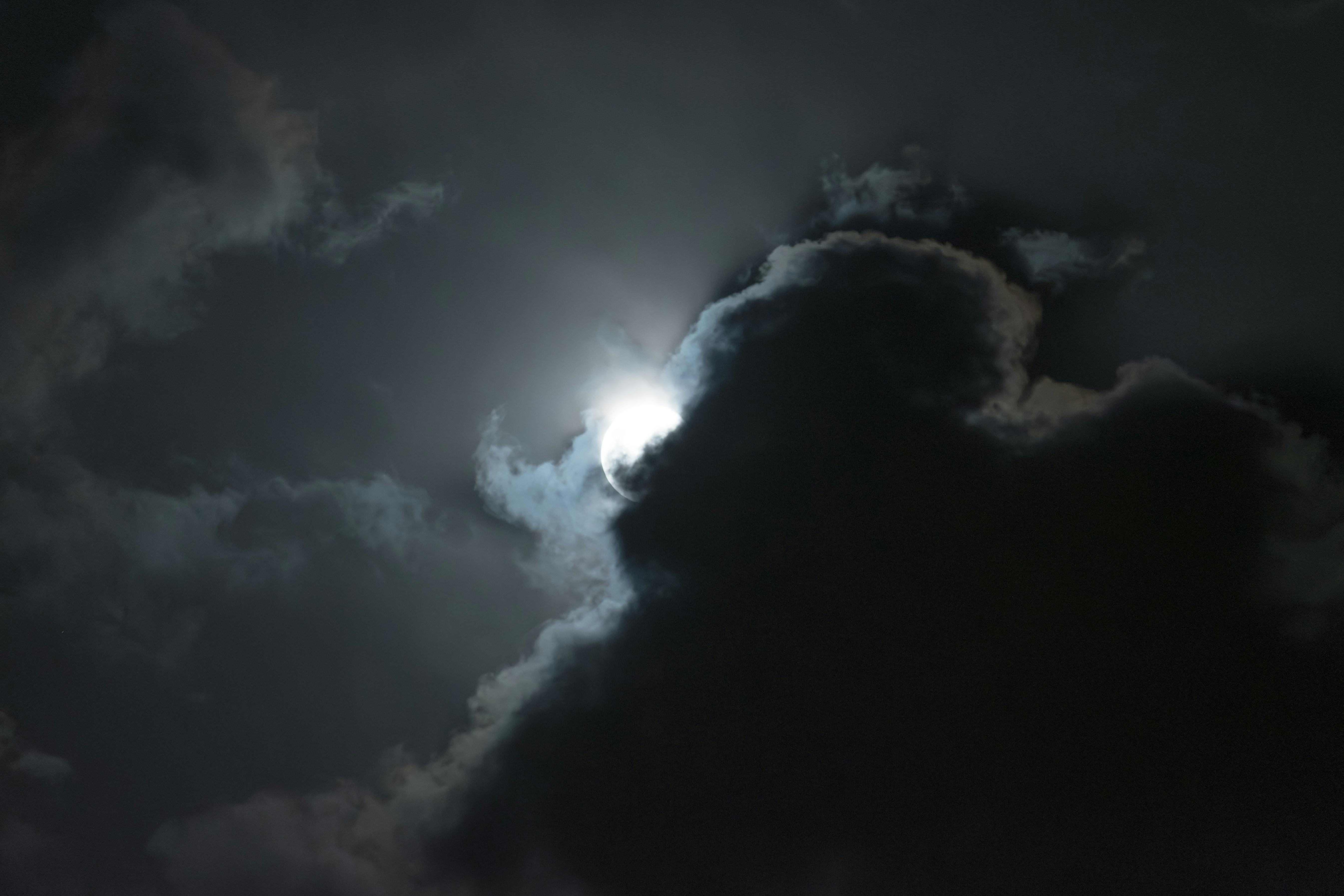 Photo by s_ahmadreza_p