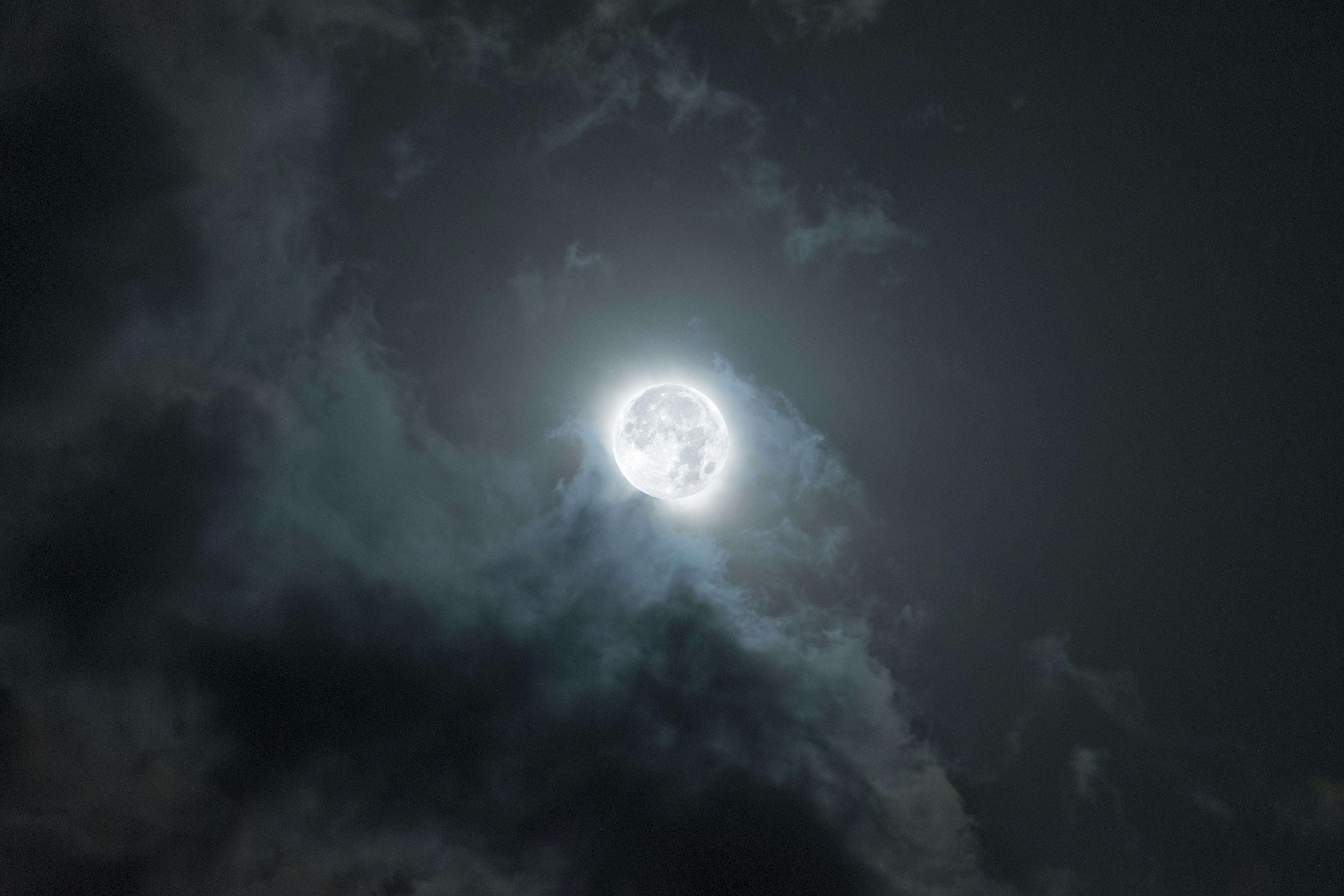 Photo by s_ahmadreza_p