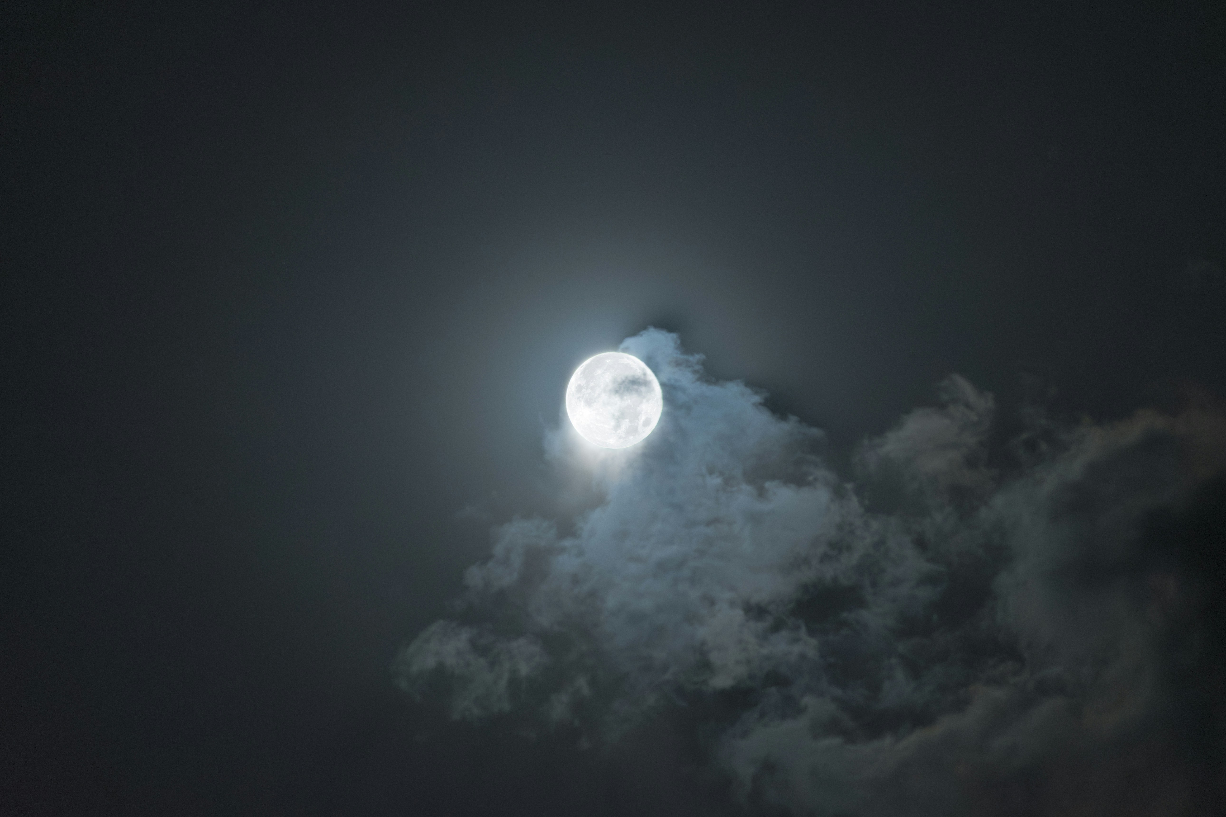 Photo by s_ahmadreza_p