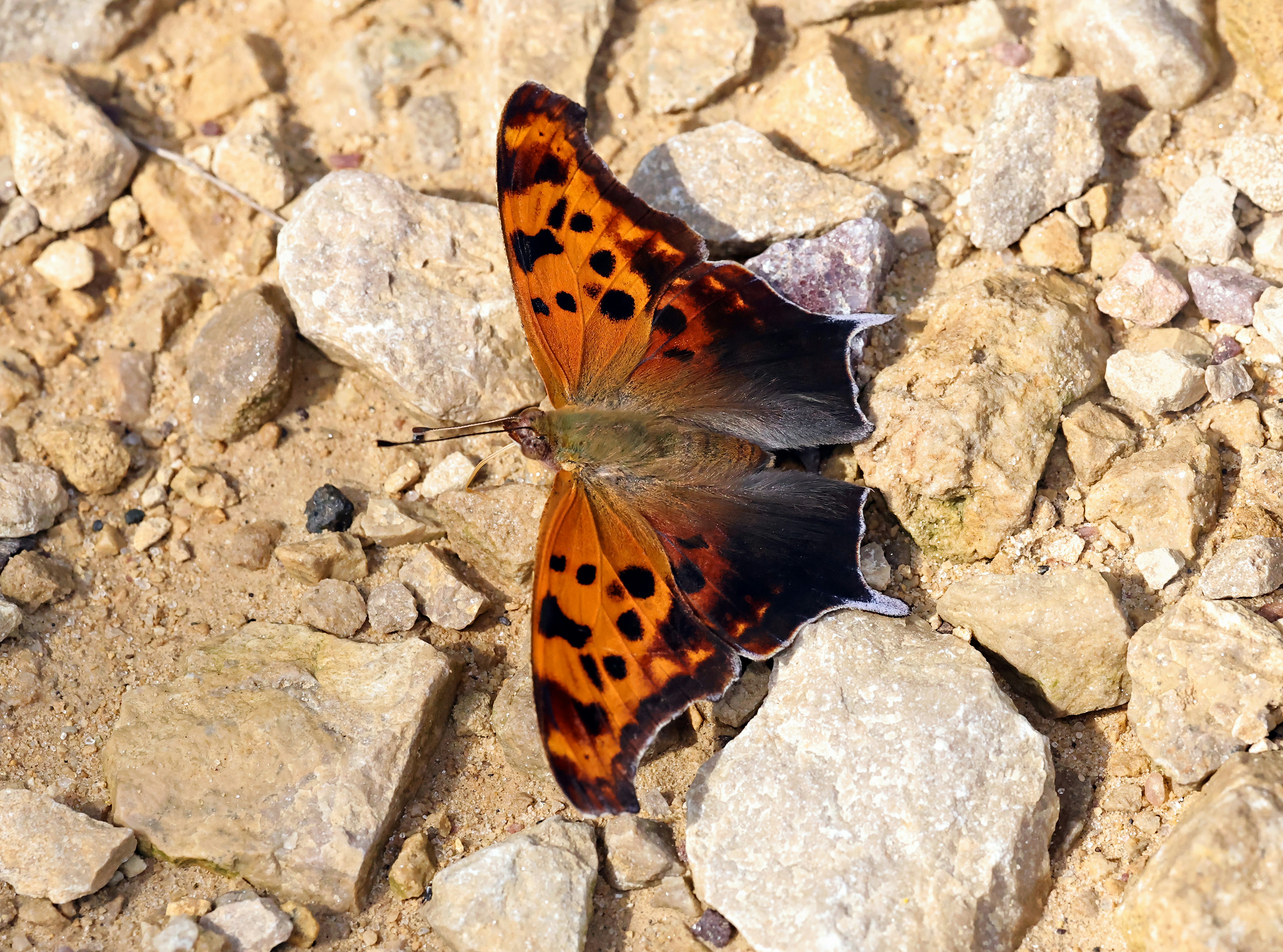 Photo by telliottmbamsc