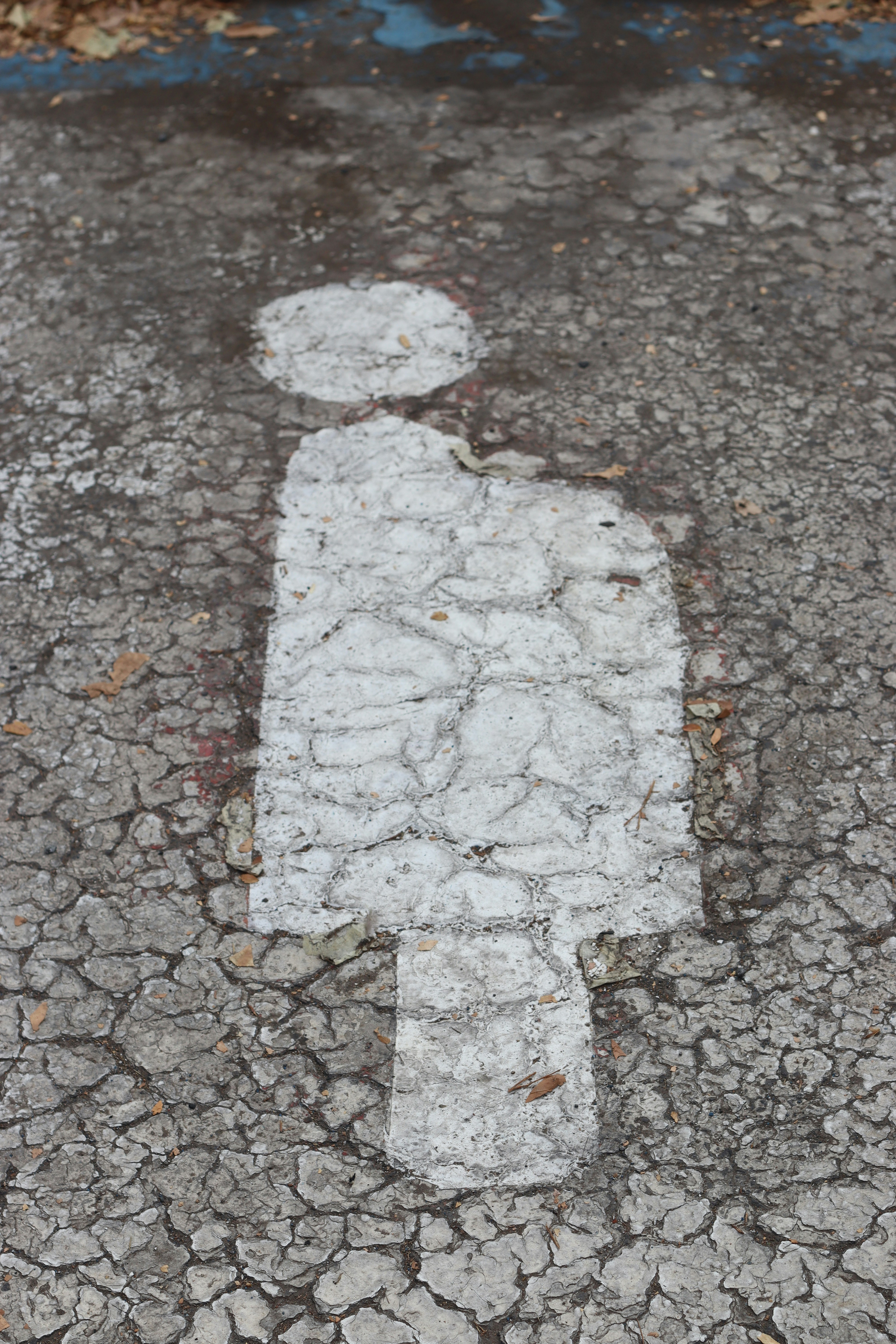 Photo by rodrigotypo