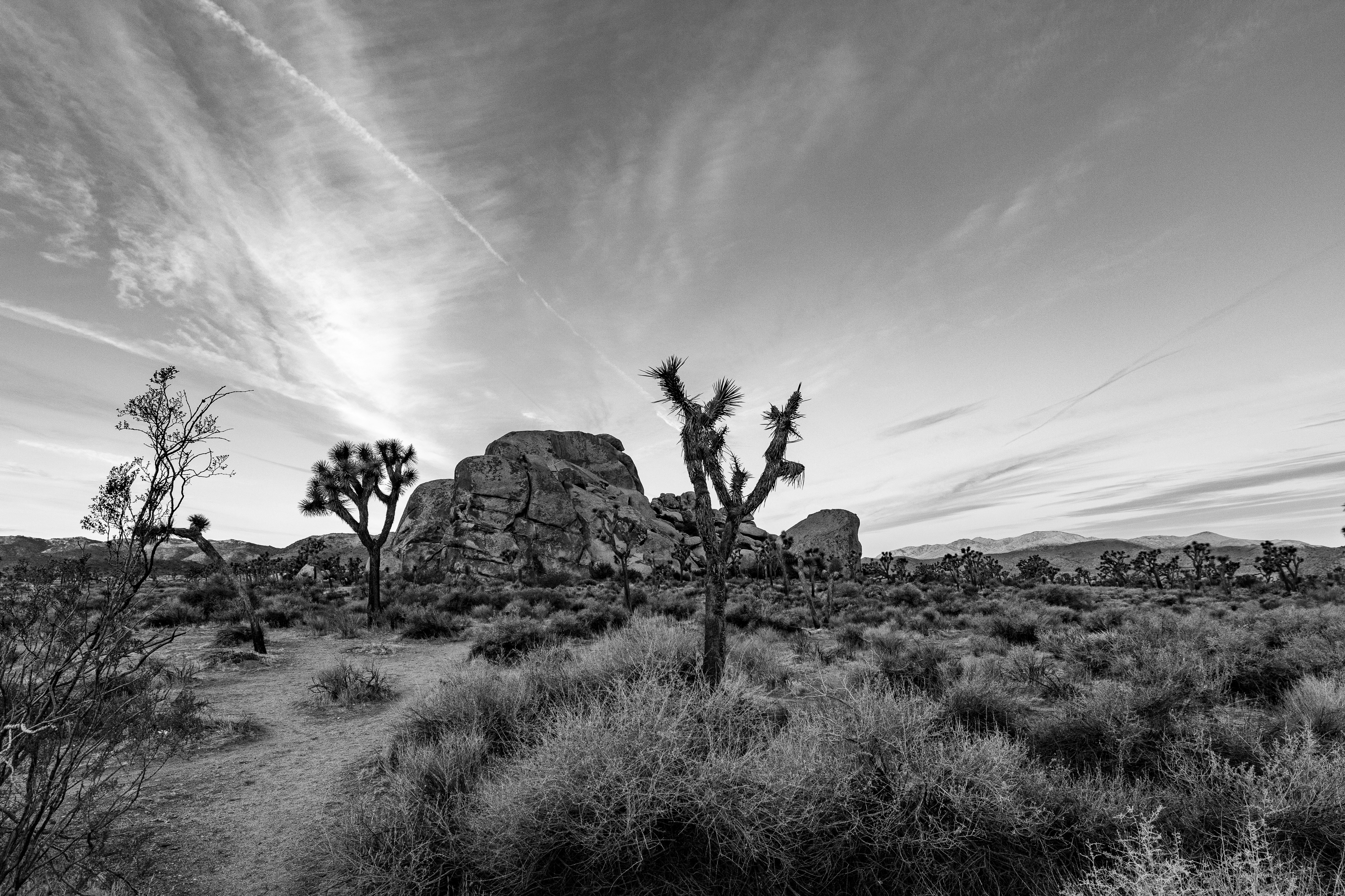 Photo by lancetraveler60