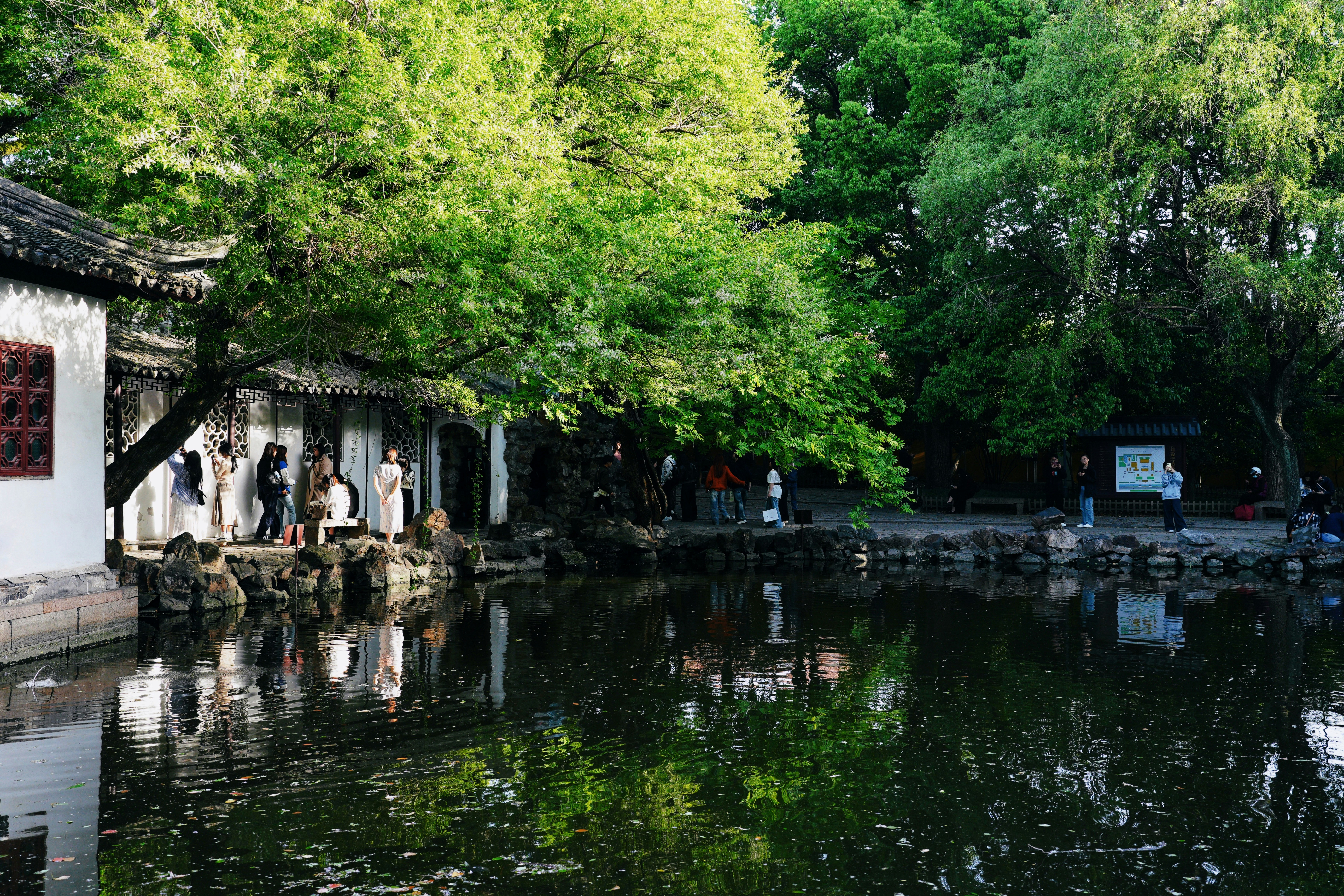 A serene pond is surrounded by lush greenery.