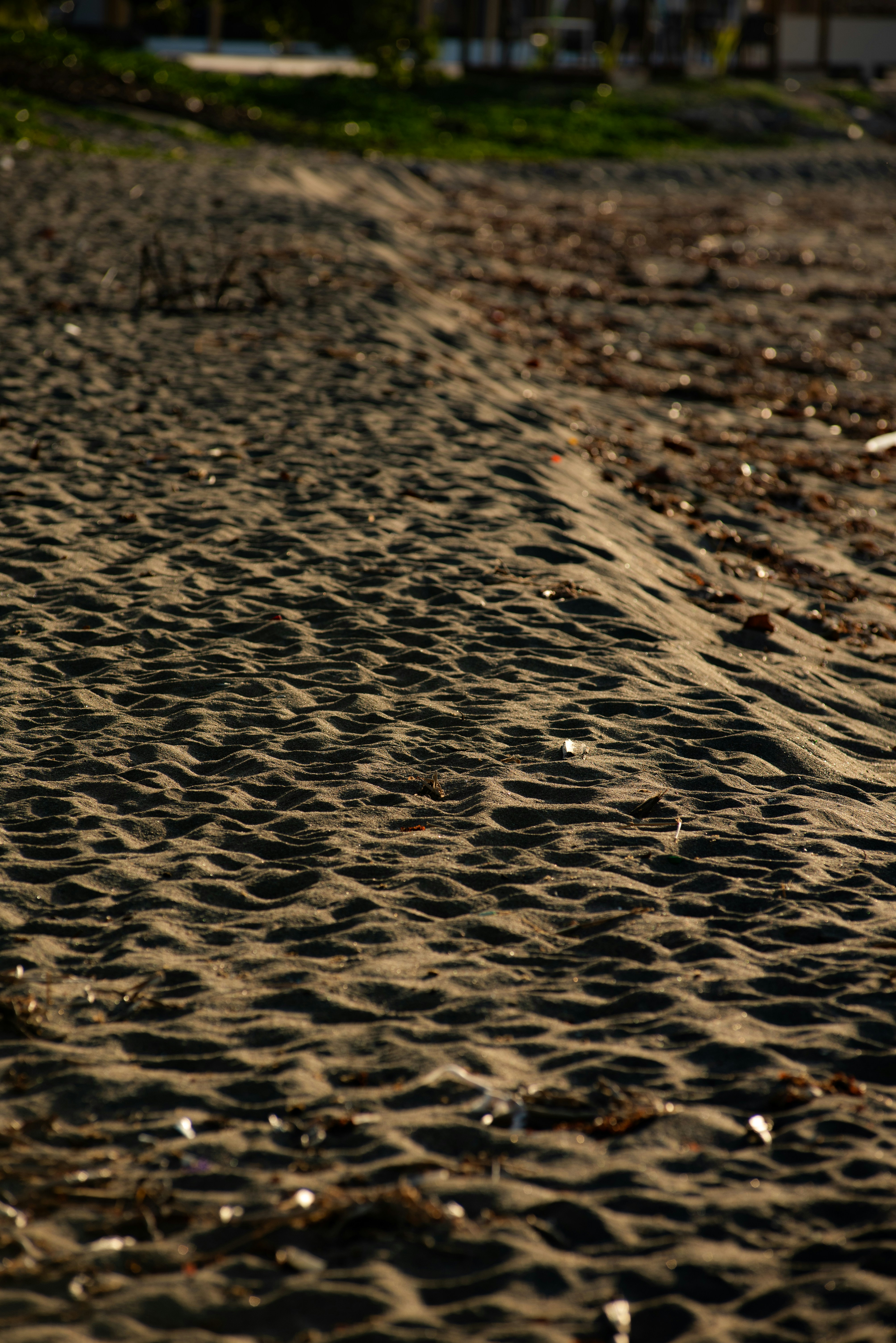 Sandy beach waves and sunlight.