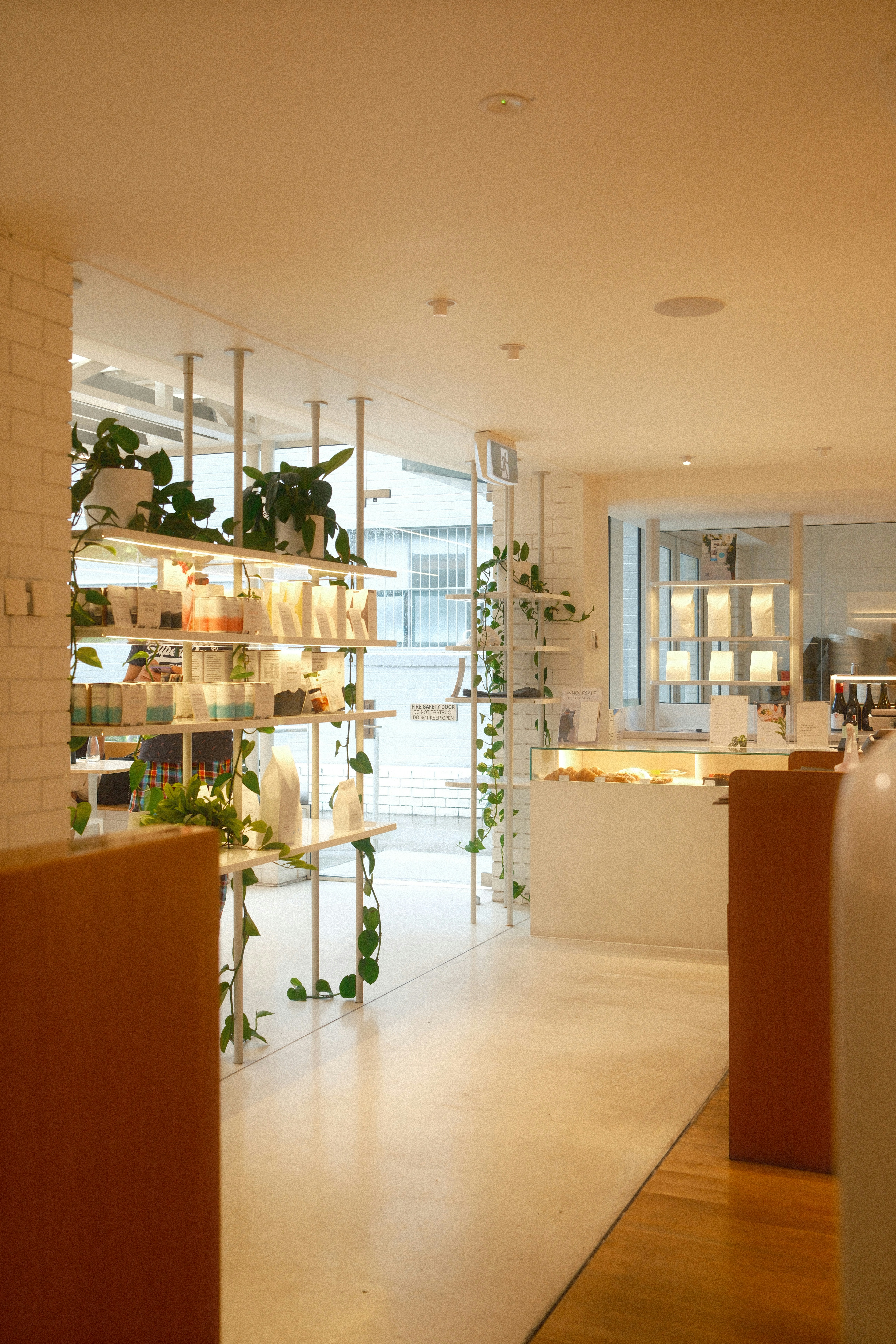 Photo by graceannefully