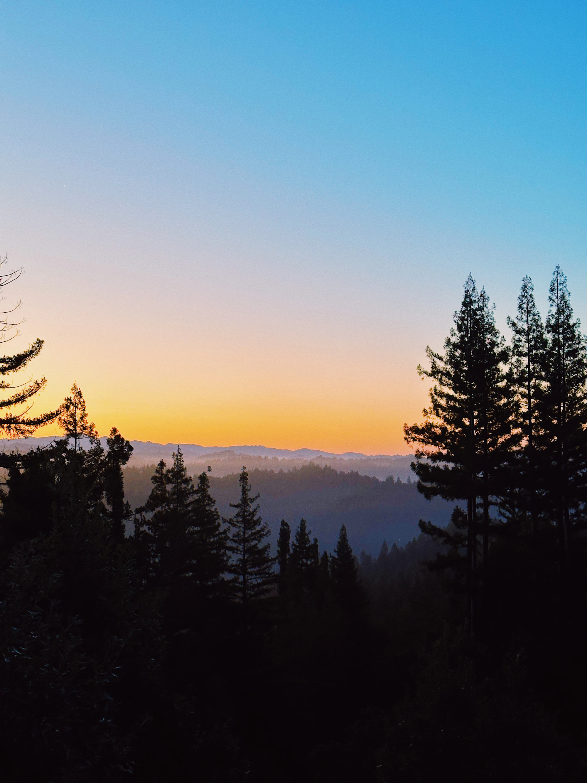 Sunset over a silhouetted forest ridgeline