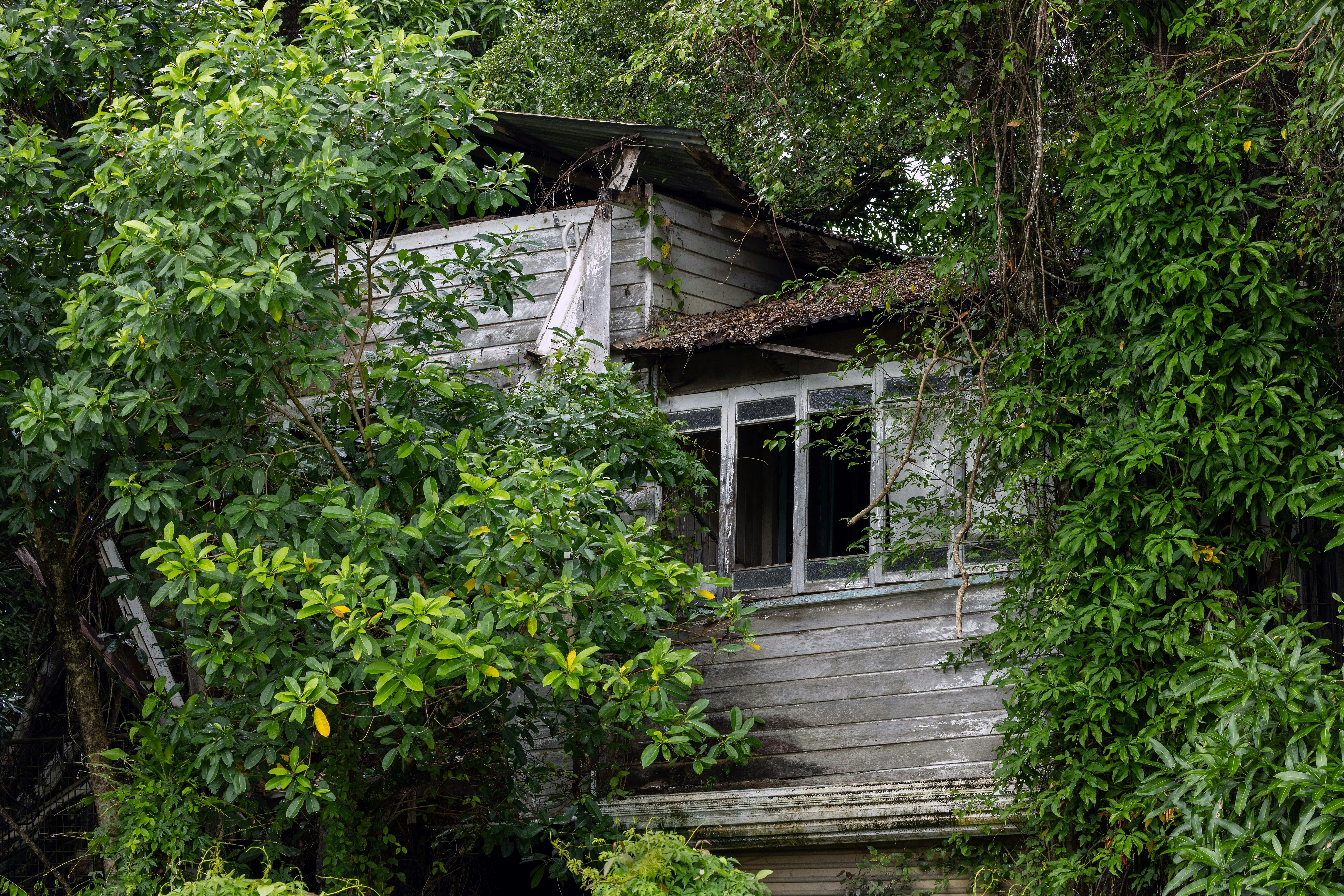 Allenstown, Queensland