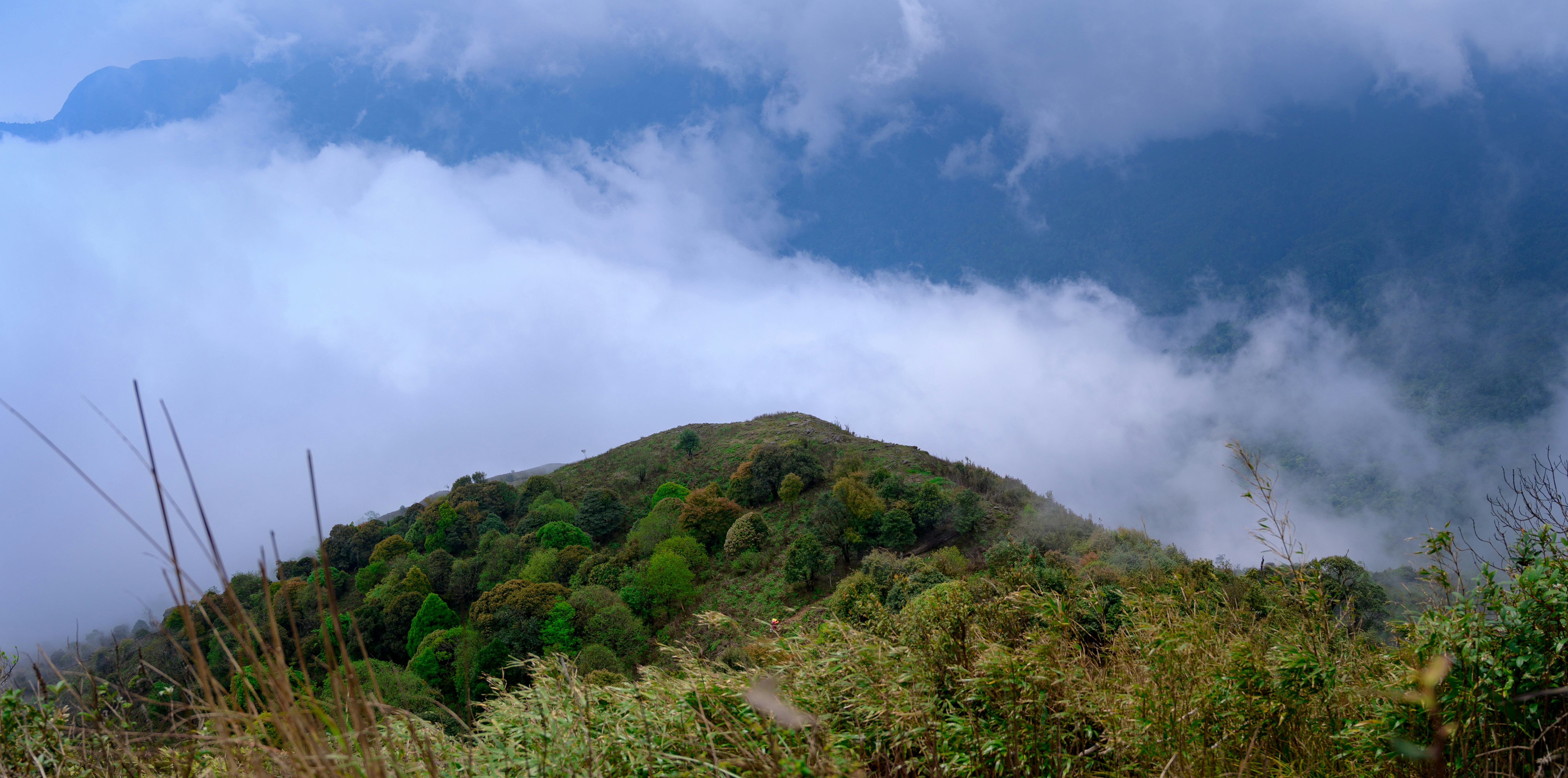 Photo by manhterry93