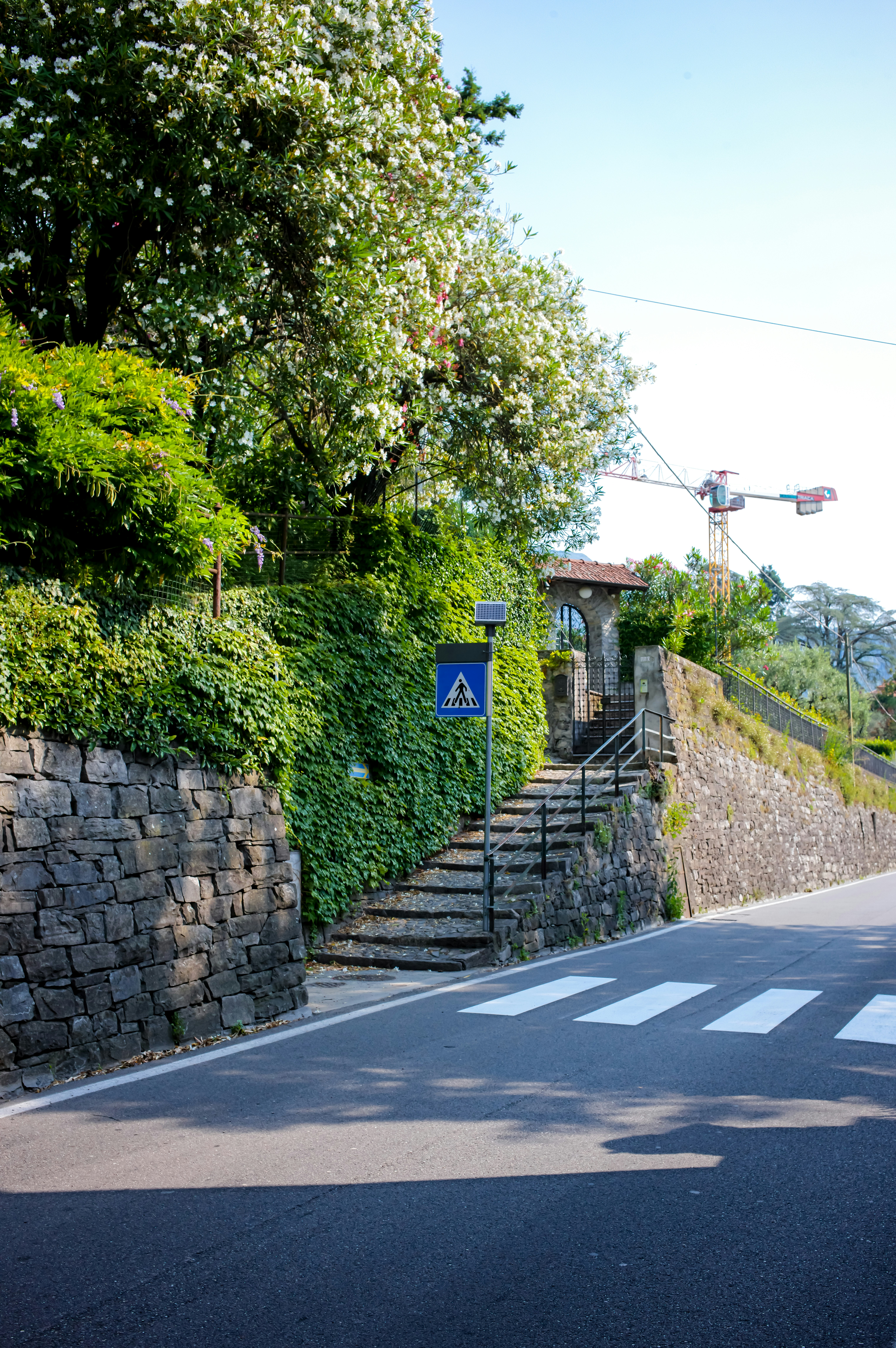 Stone stairs lead to a building beside a road.