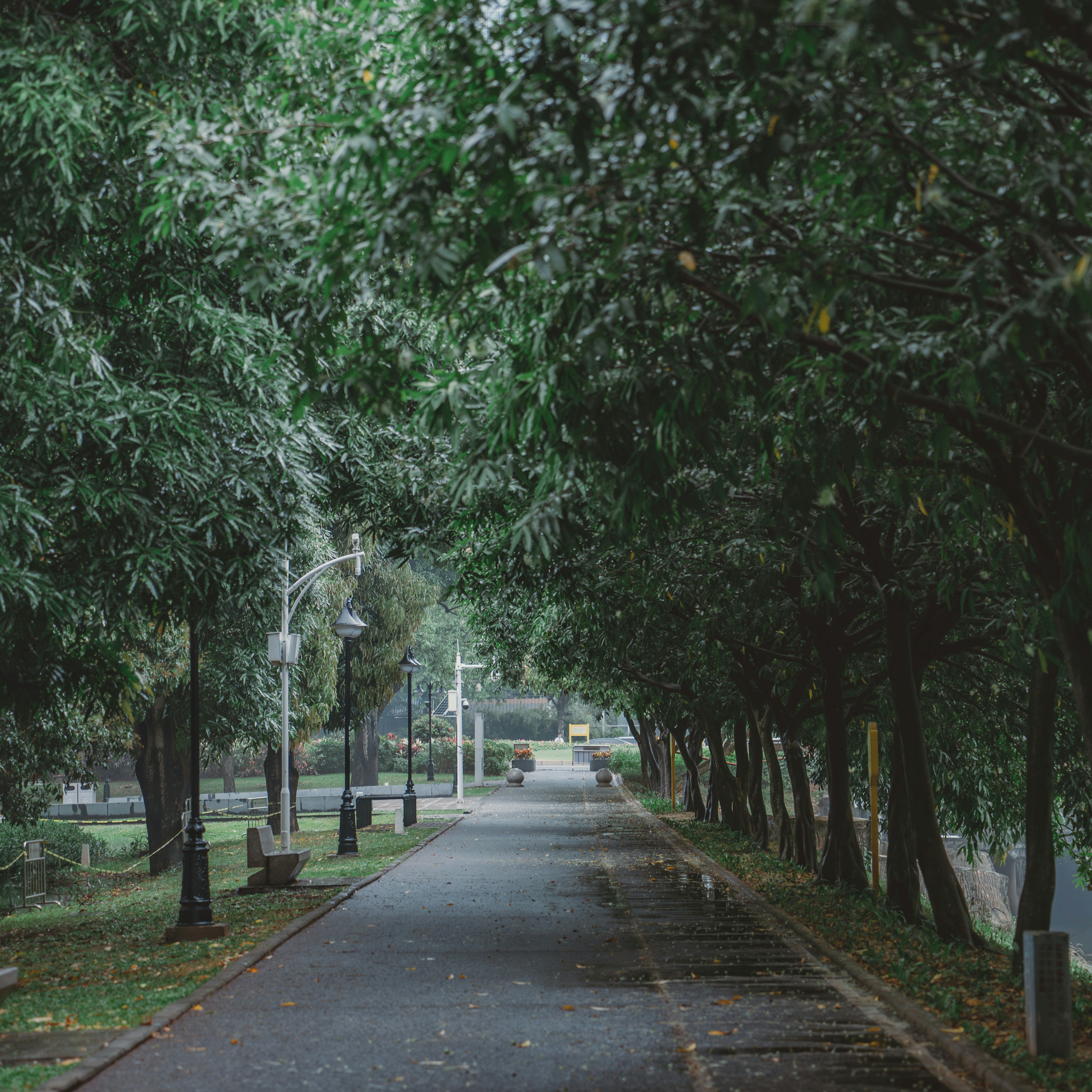 Photo by wangbinghua