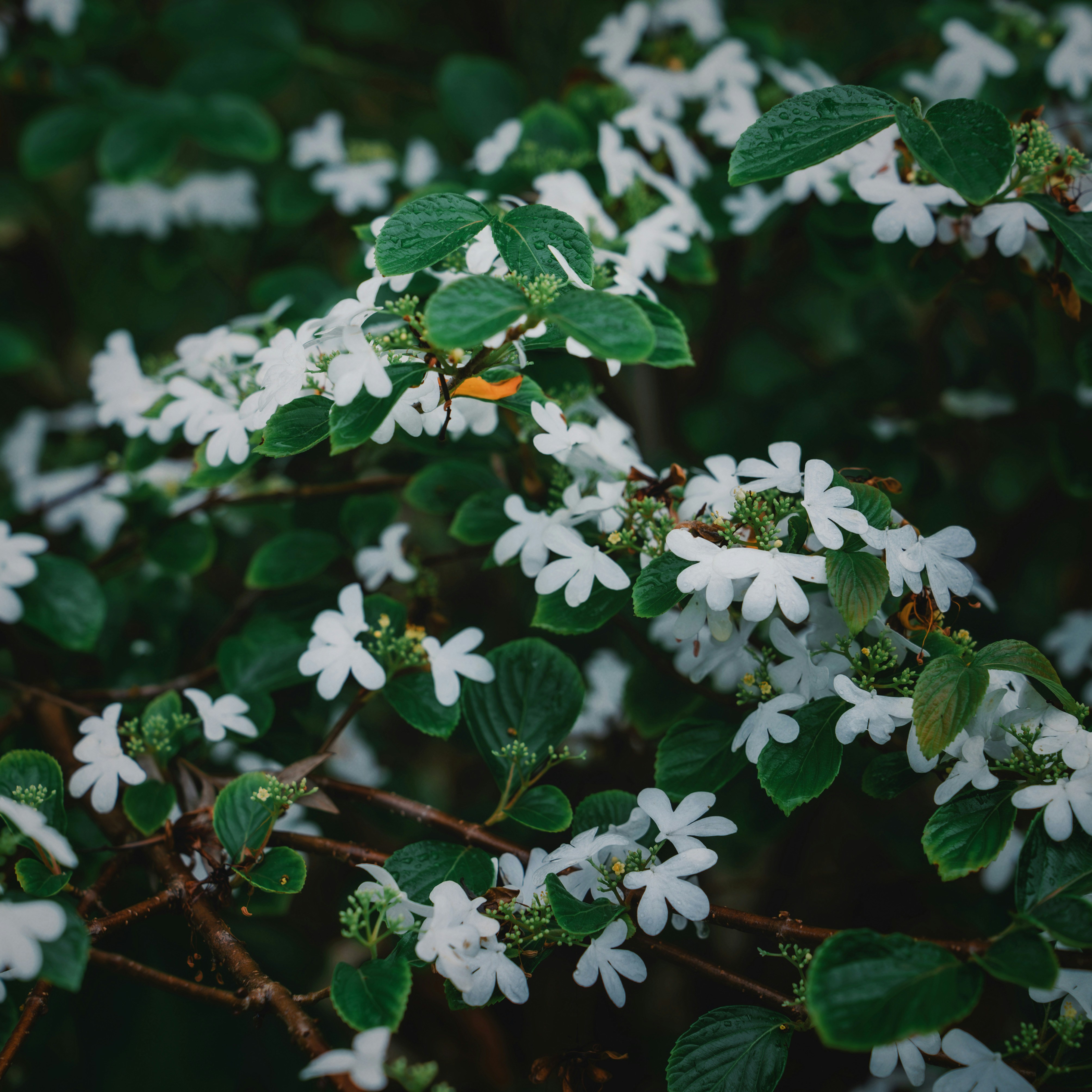 Photo by wangbinghua