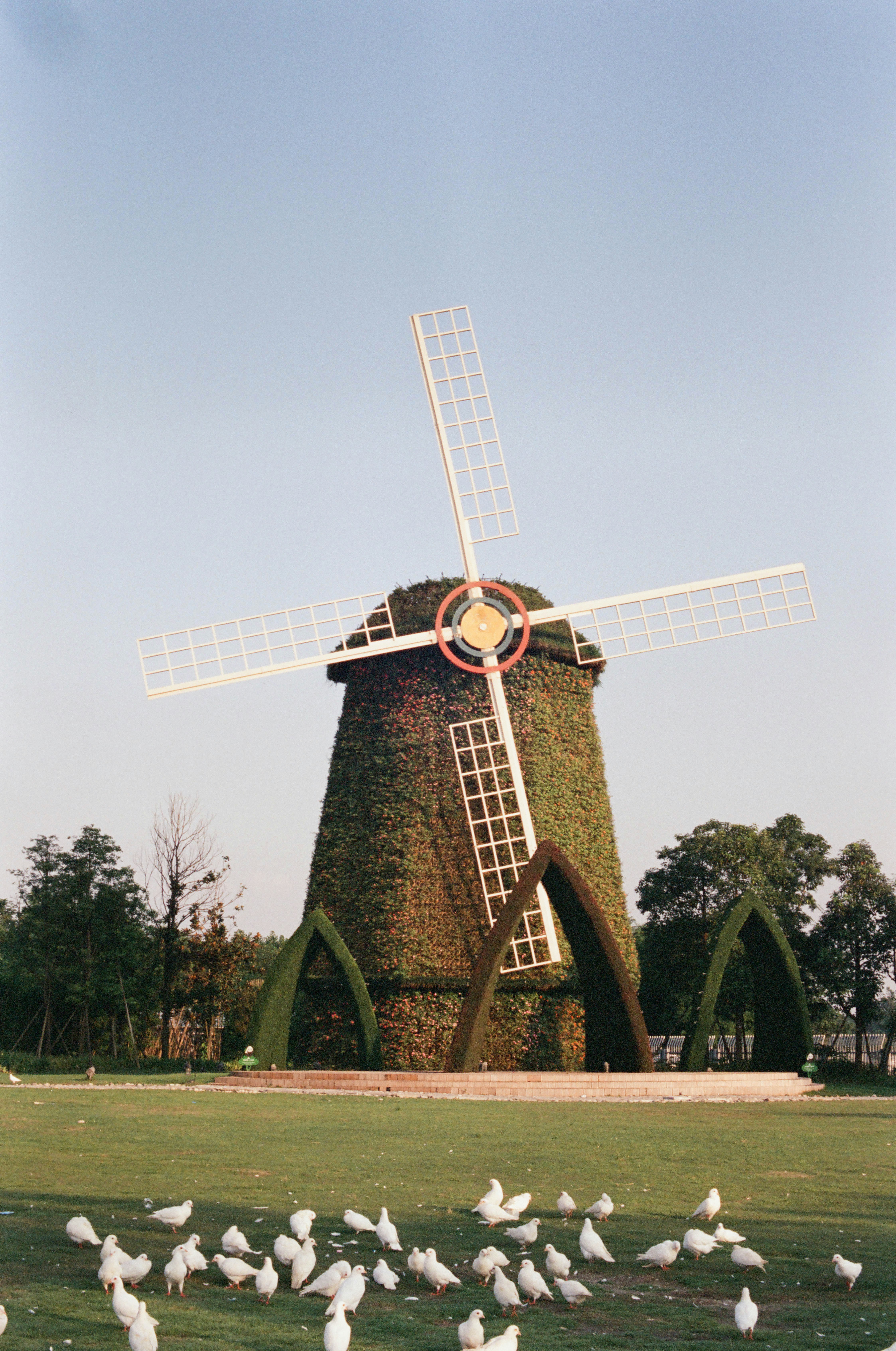 A windmill is surrounded by greenery and some birds.